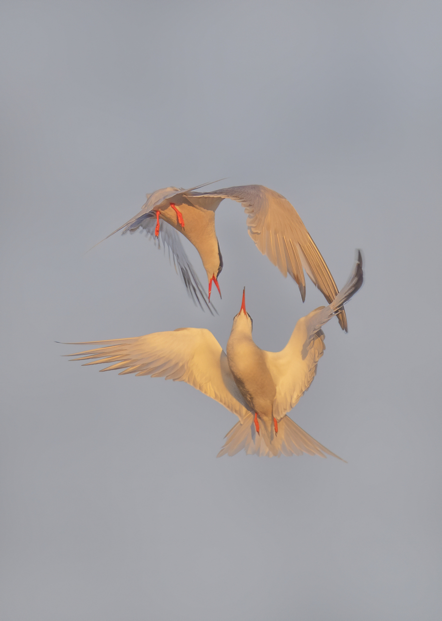 中元节怪谈物语#