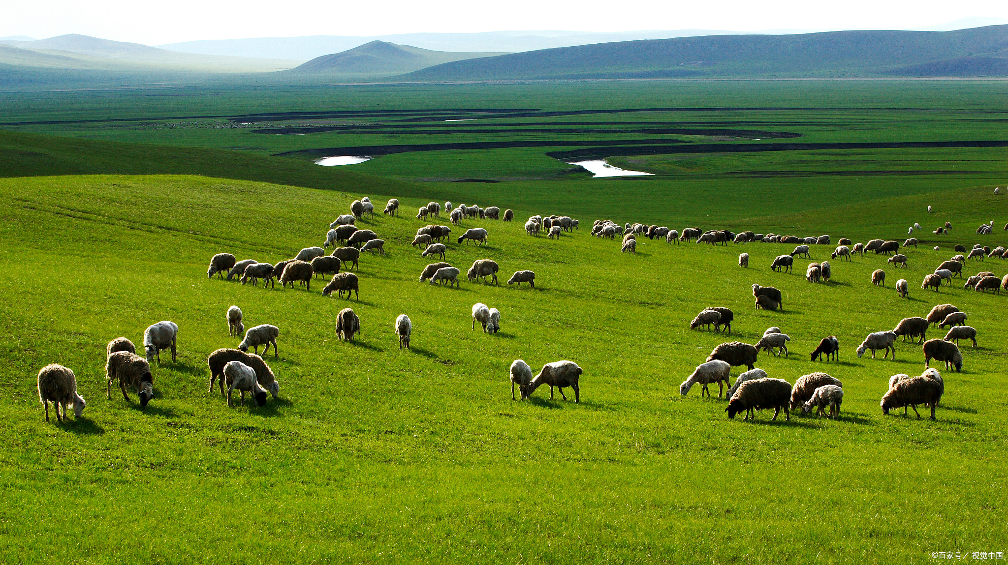 我的旅行日记# 锡林郭勒大草原自驾游攻略  草原上的蓝天下白云朵朵