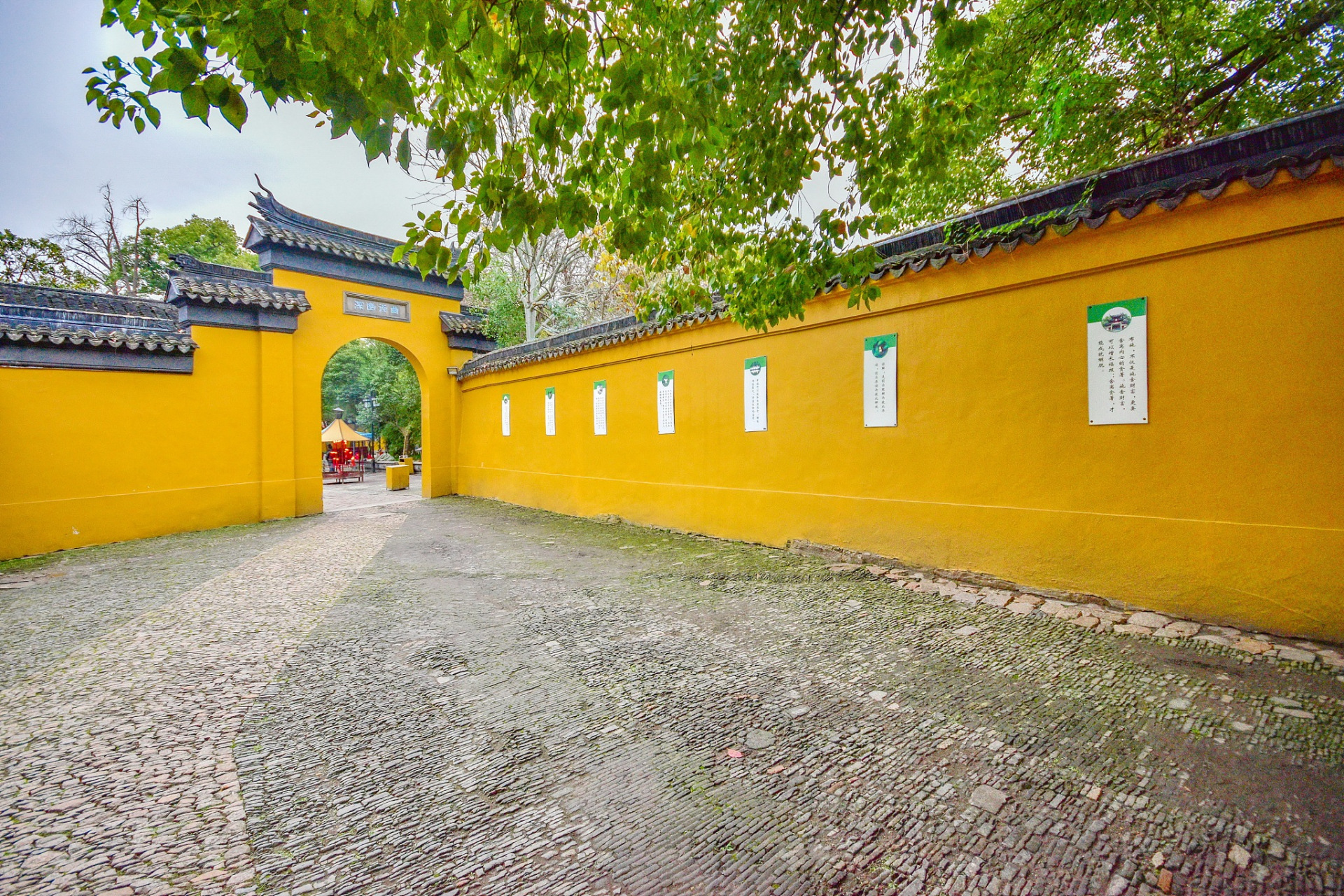 炎炎夏日,正是南京金粟庵的好时光!