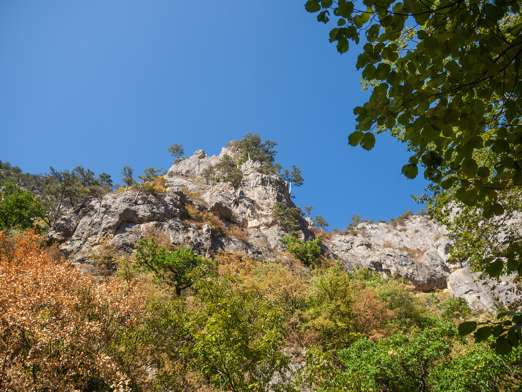 乌金山国家森林公园位于山西省晋中市榆次区乌金山镇,是山西的绿色