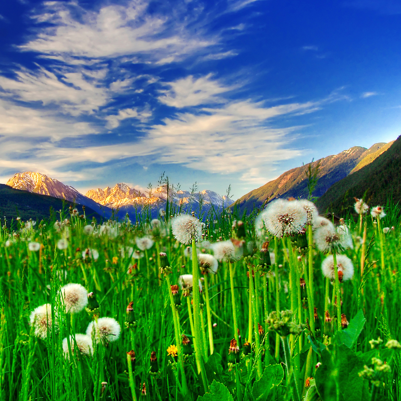 你说,这样的两个人,怎么可能会轻易