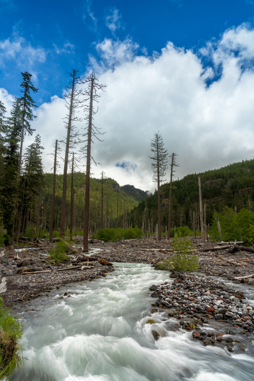 吐鲁沟,五一避暑胜地 吐鲁沟国家森林公园位于高原山脉之间,绿意盎然