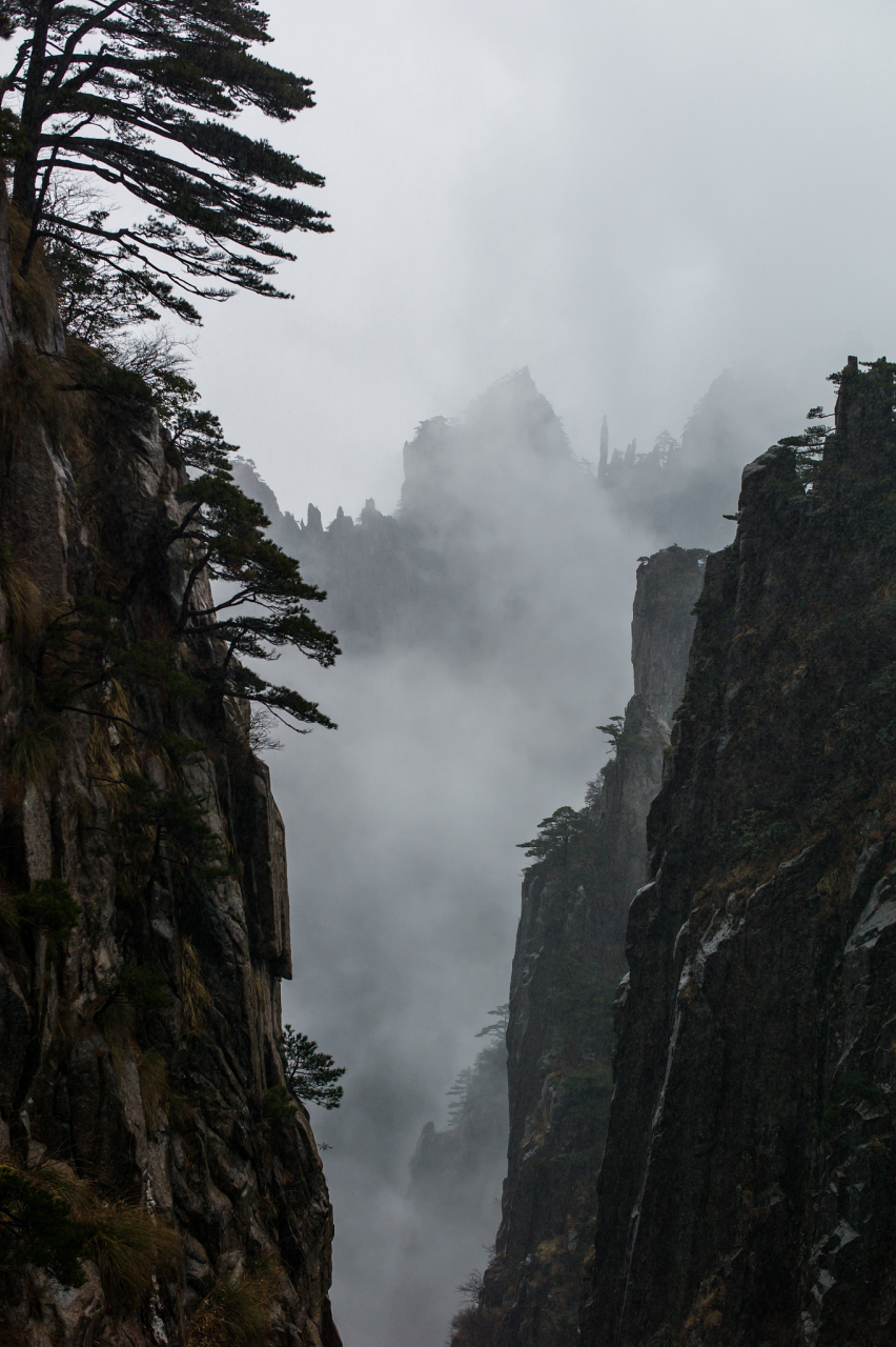 雨中云雾缭绕的黄山图片