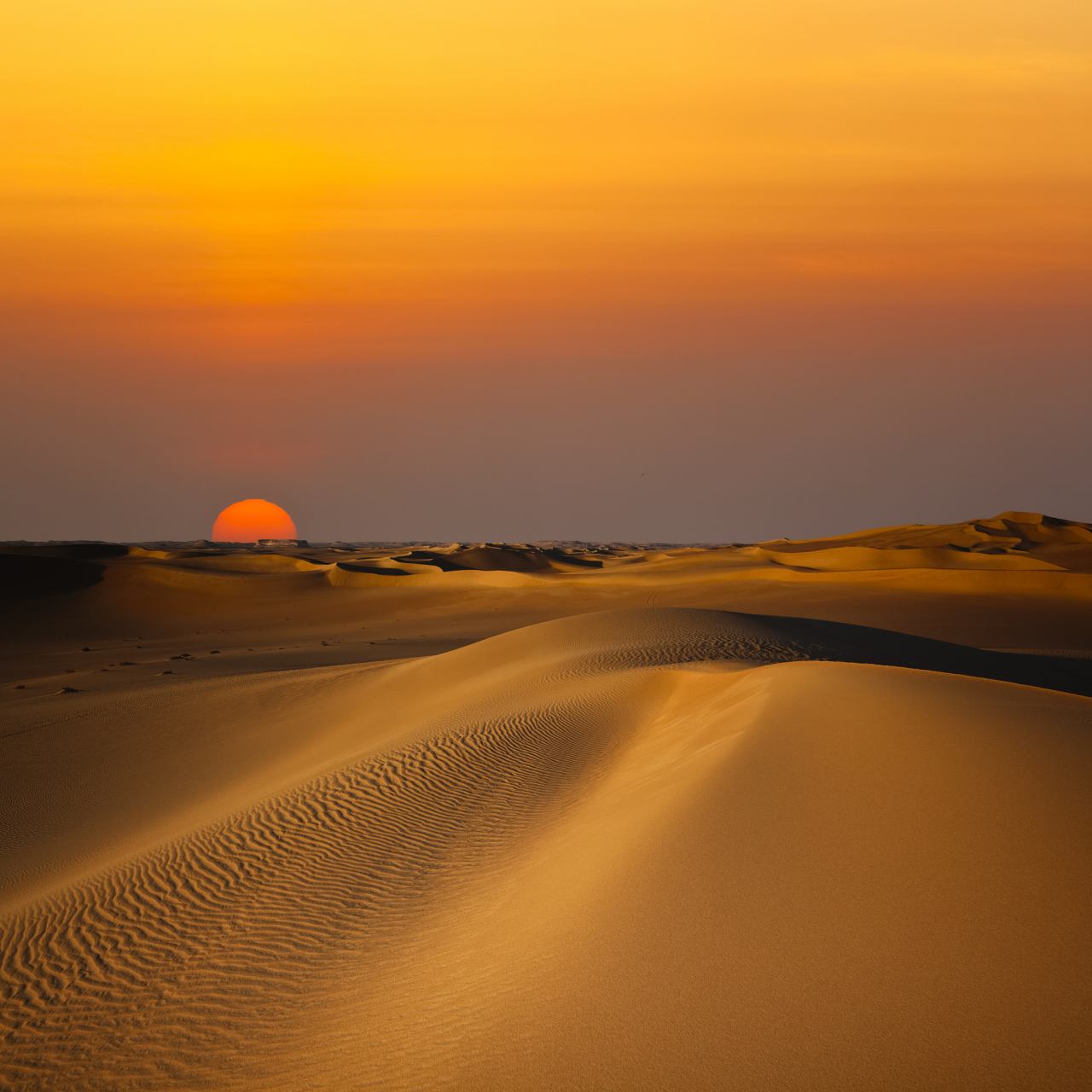 11566 沙漠夕阳,这是一个让人心醉神迷的景象