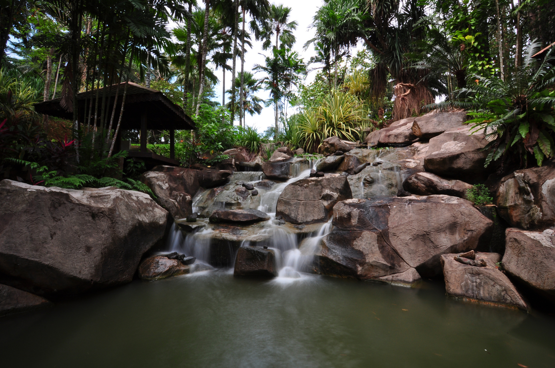 嬉行记# 三亚雨林谷,位于中国热带海滨城市三亚,是一片神秘而宏伟的