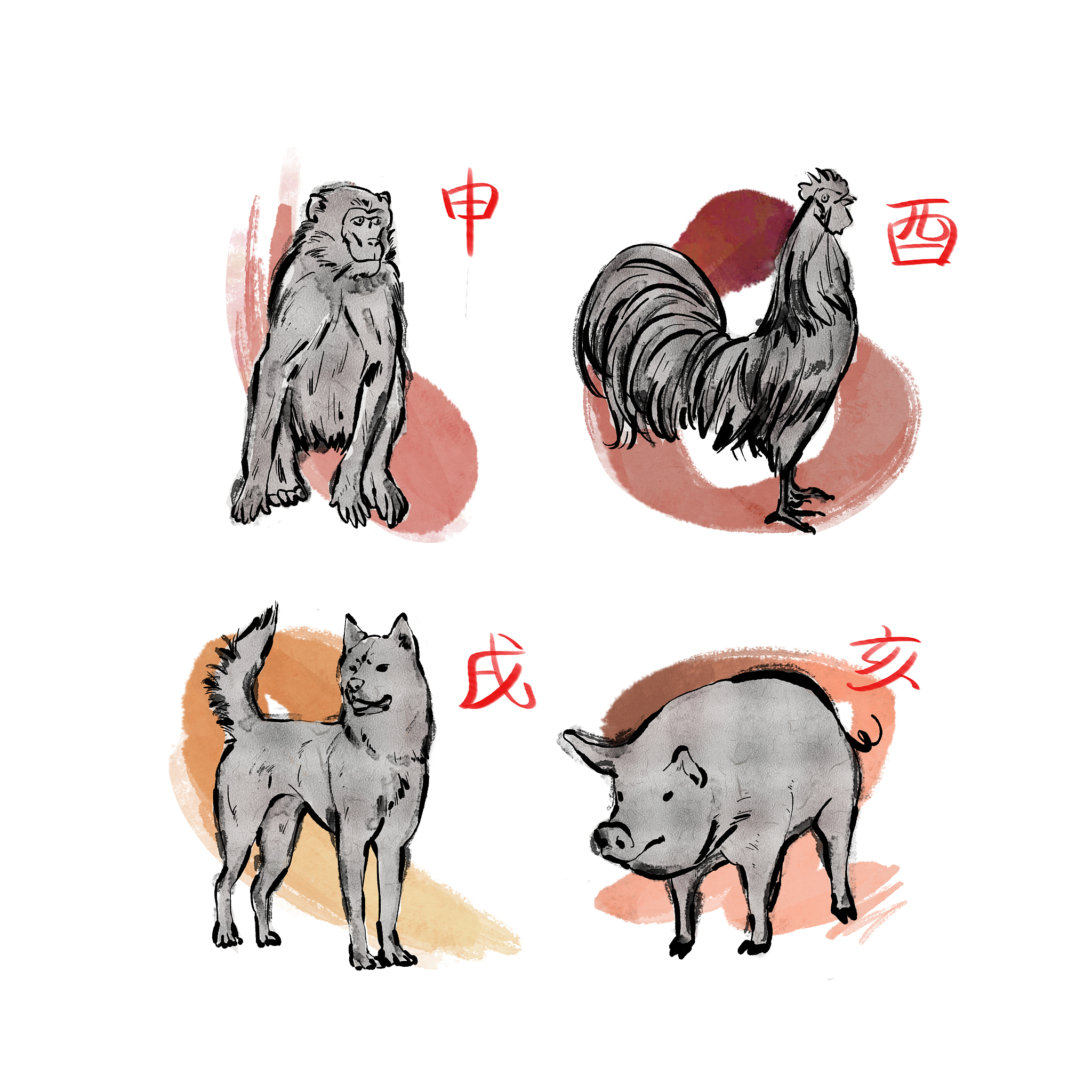 生肖兔运势分解图片男猪(生肖兔运势分解图片男猪女)