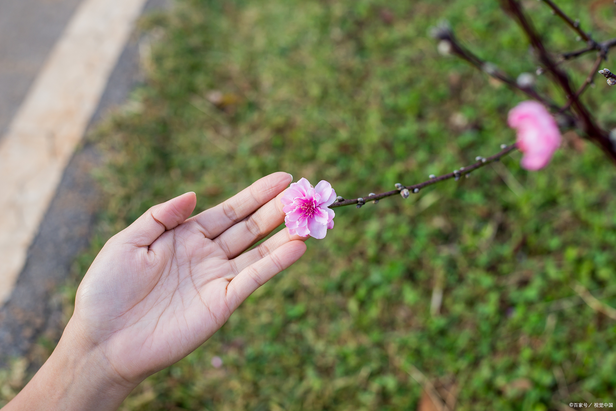 如何从八字中看桃花 如何从八字中看桃花