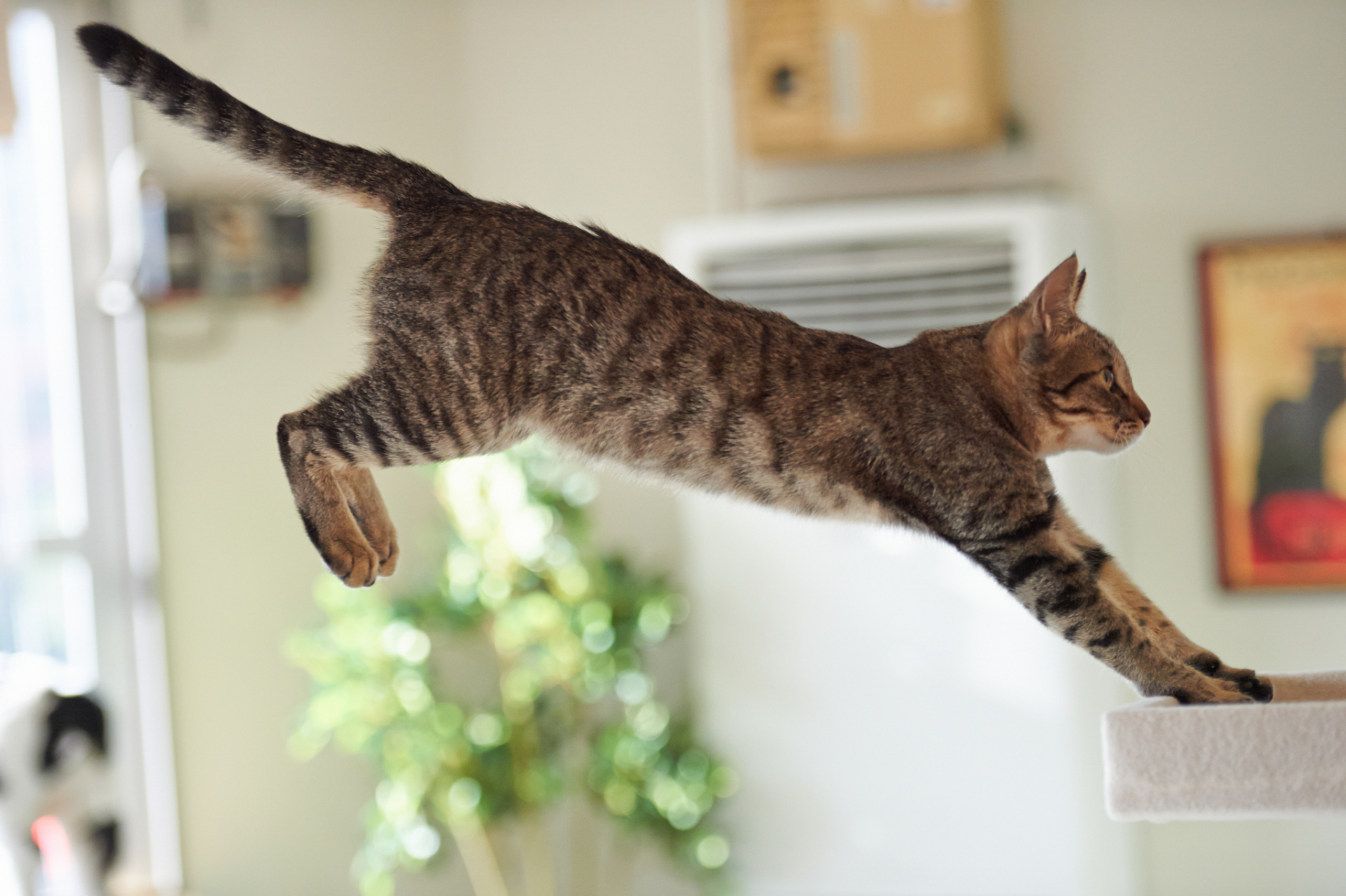 定期检查身体状况,及