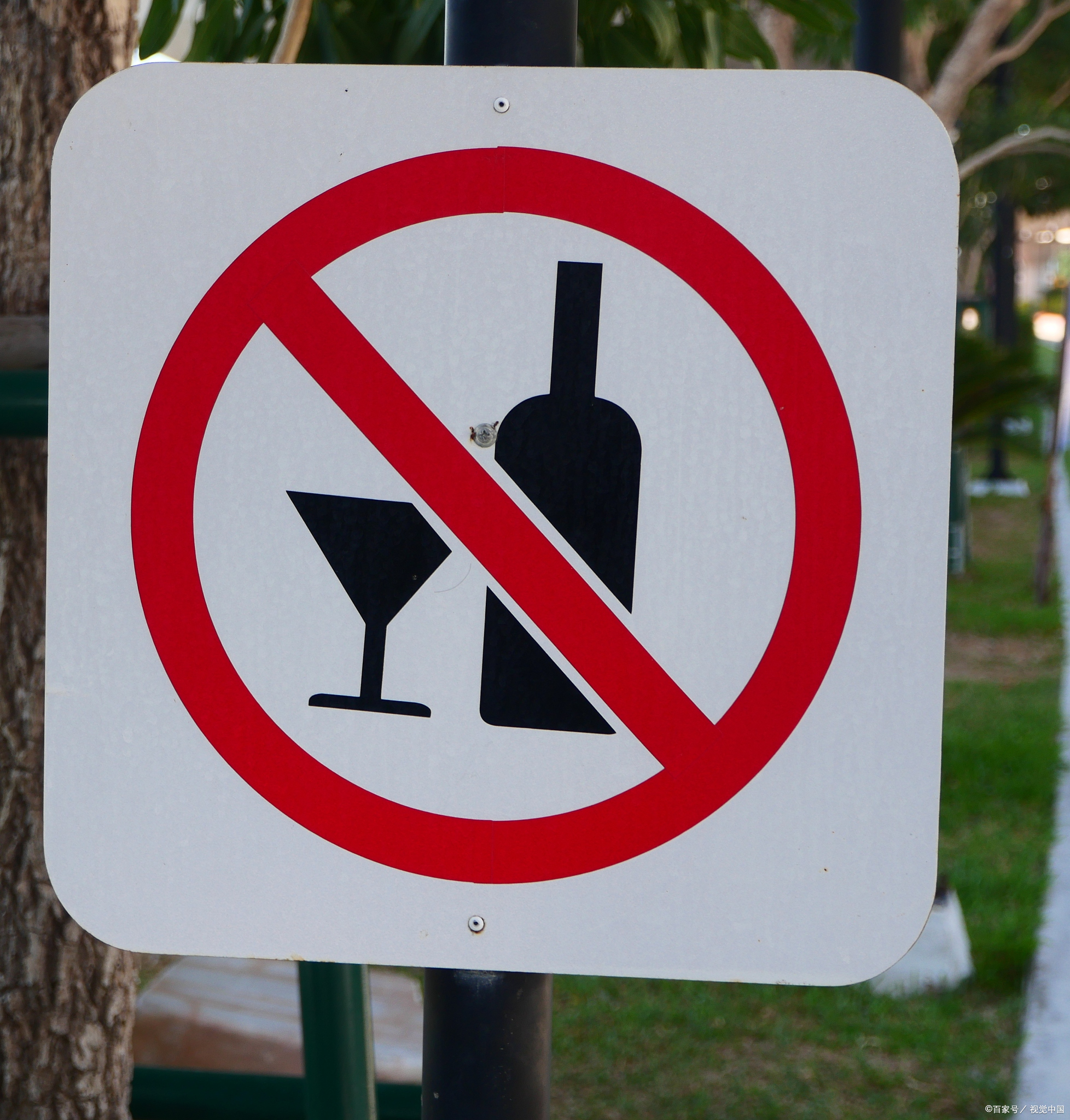 中央的禁酒目的很纯粹,就是要刹住公务宴请腐败