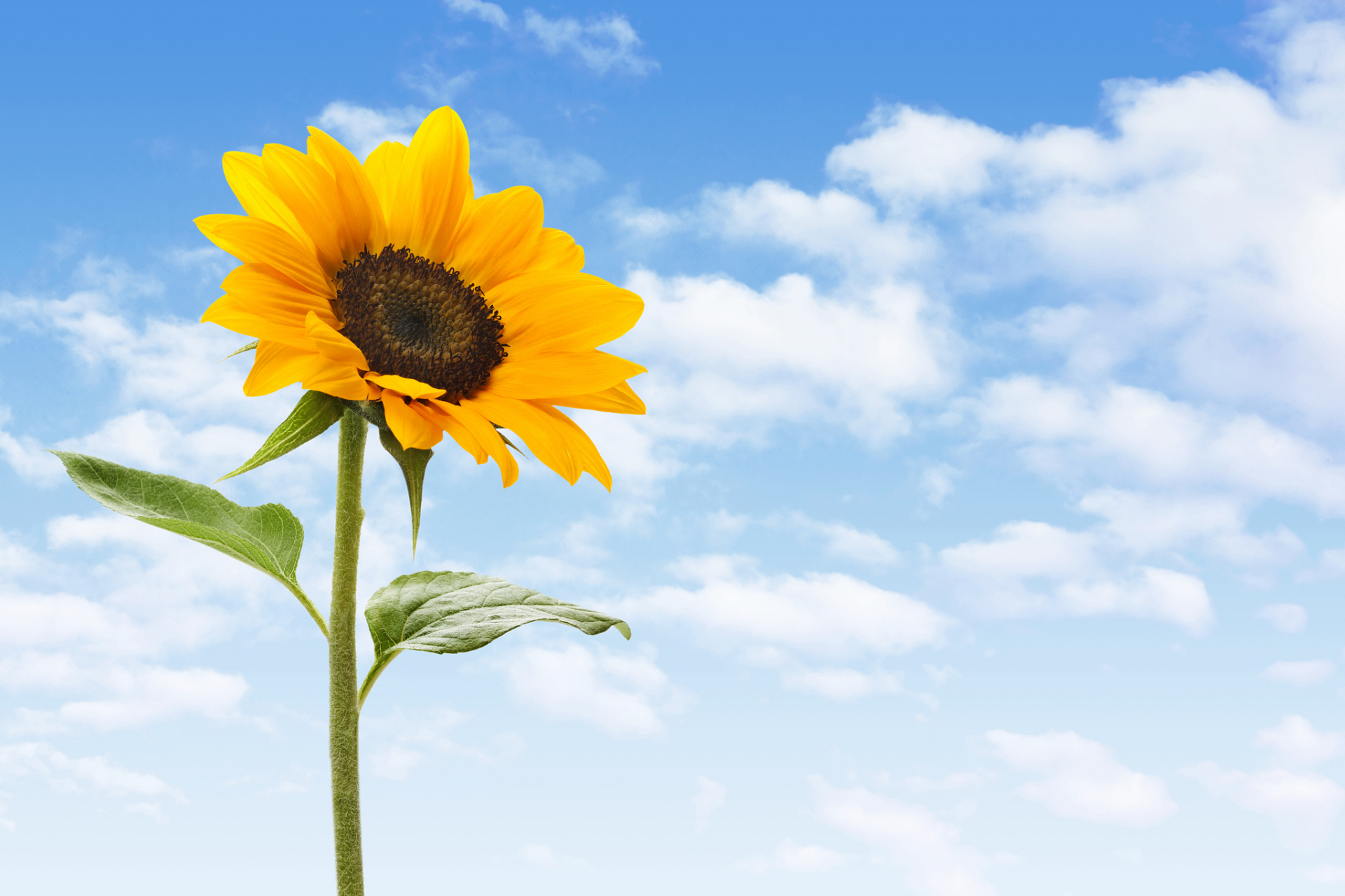 自从知道自己有了肺结节,我并没有放弃对生活的热爱和对未来的希望.