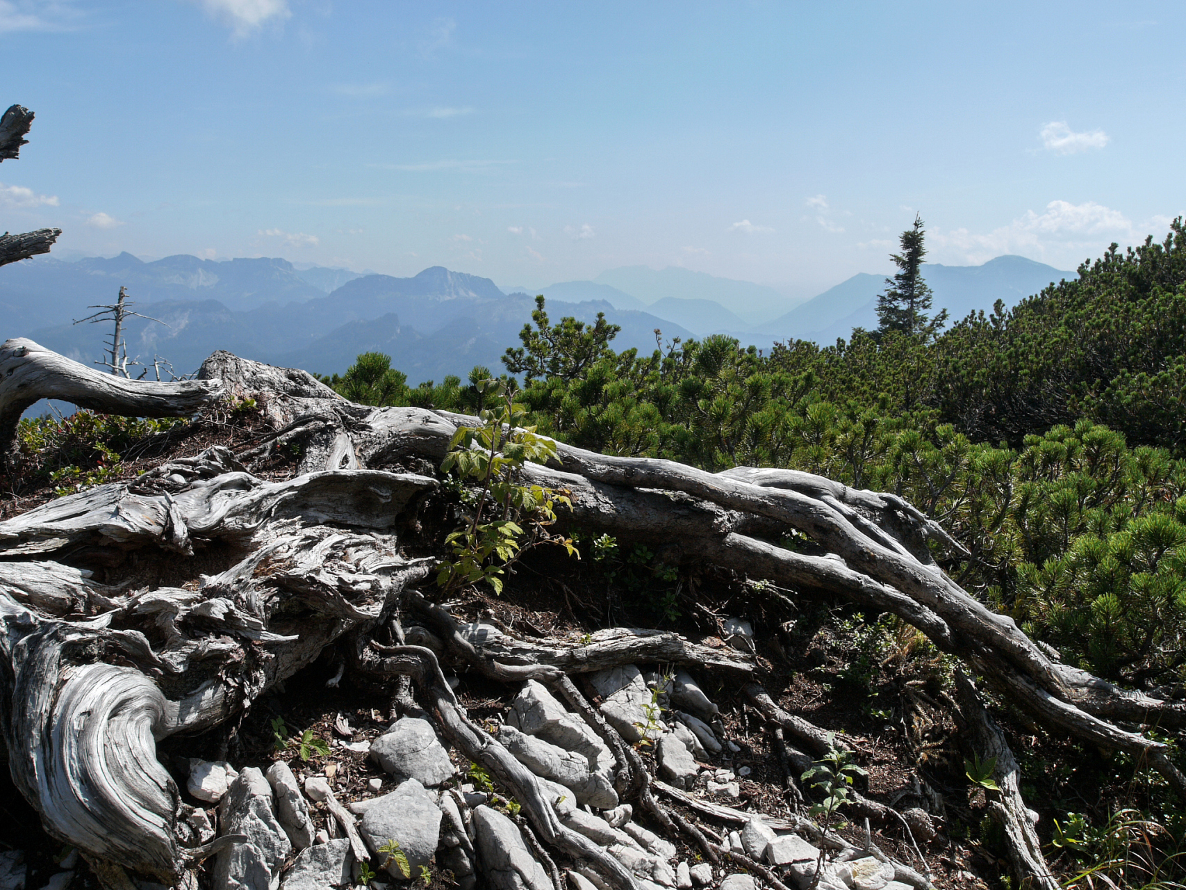 清凉峰自然保护区位于浙江省杭州市临安区,占地10800公顷,是大自然鬼