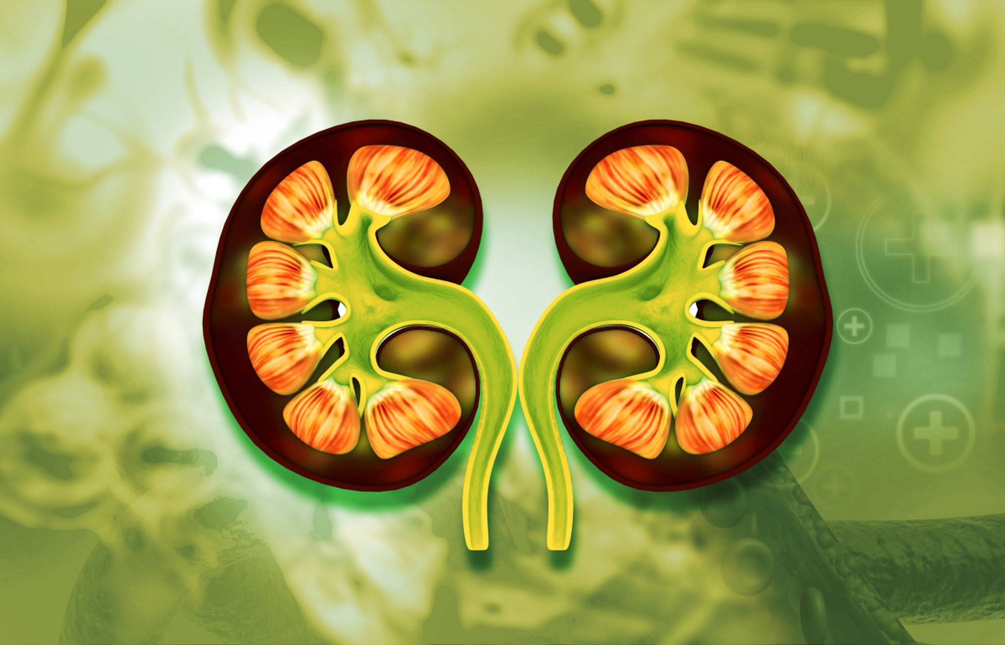 对于慢性肾功能不全的多囊肾患者来说,控制盐的摄入是饮食重要原则之