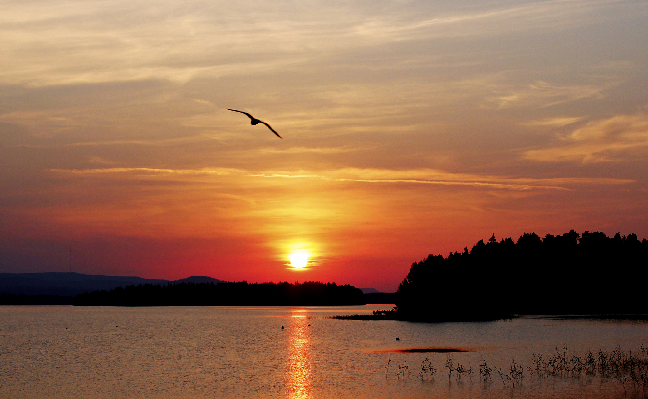 落霞与孤鹜齐飞,秋水共长天一色!