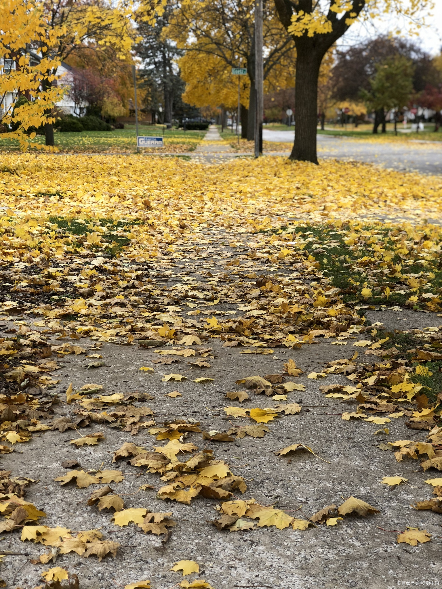 秋天的校园操场,落叶遍地,微风拂过,带来一丝凉意
