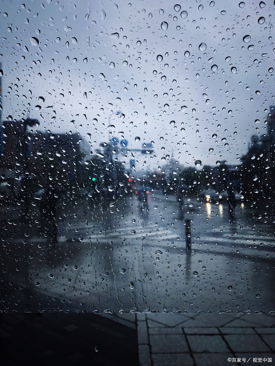 雨滴砸地溅水花,撑伞漫步踩水洼.街边花朵雨洗艳,小雨带来好心情