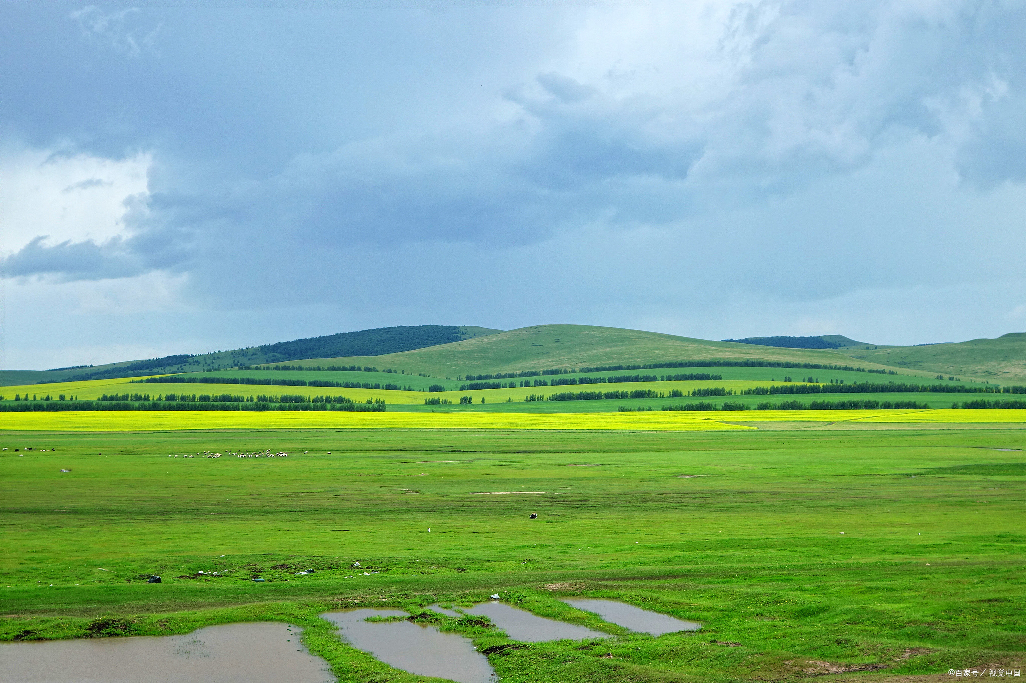 在下雨的草原享受雨中草原的独特魅力