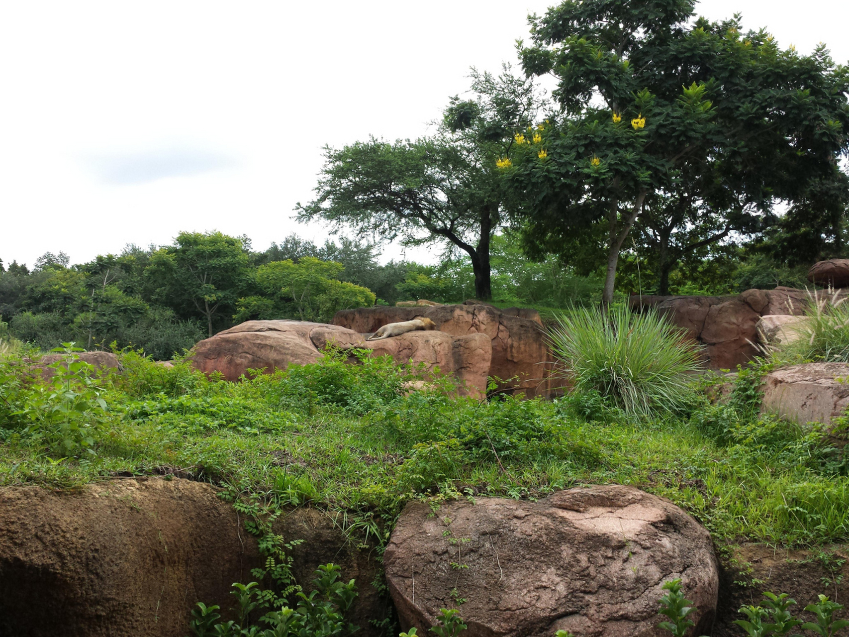 广东阳江春湾石林,这个名字听起来就让人心生向往.