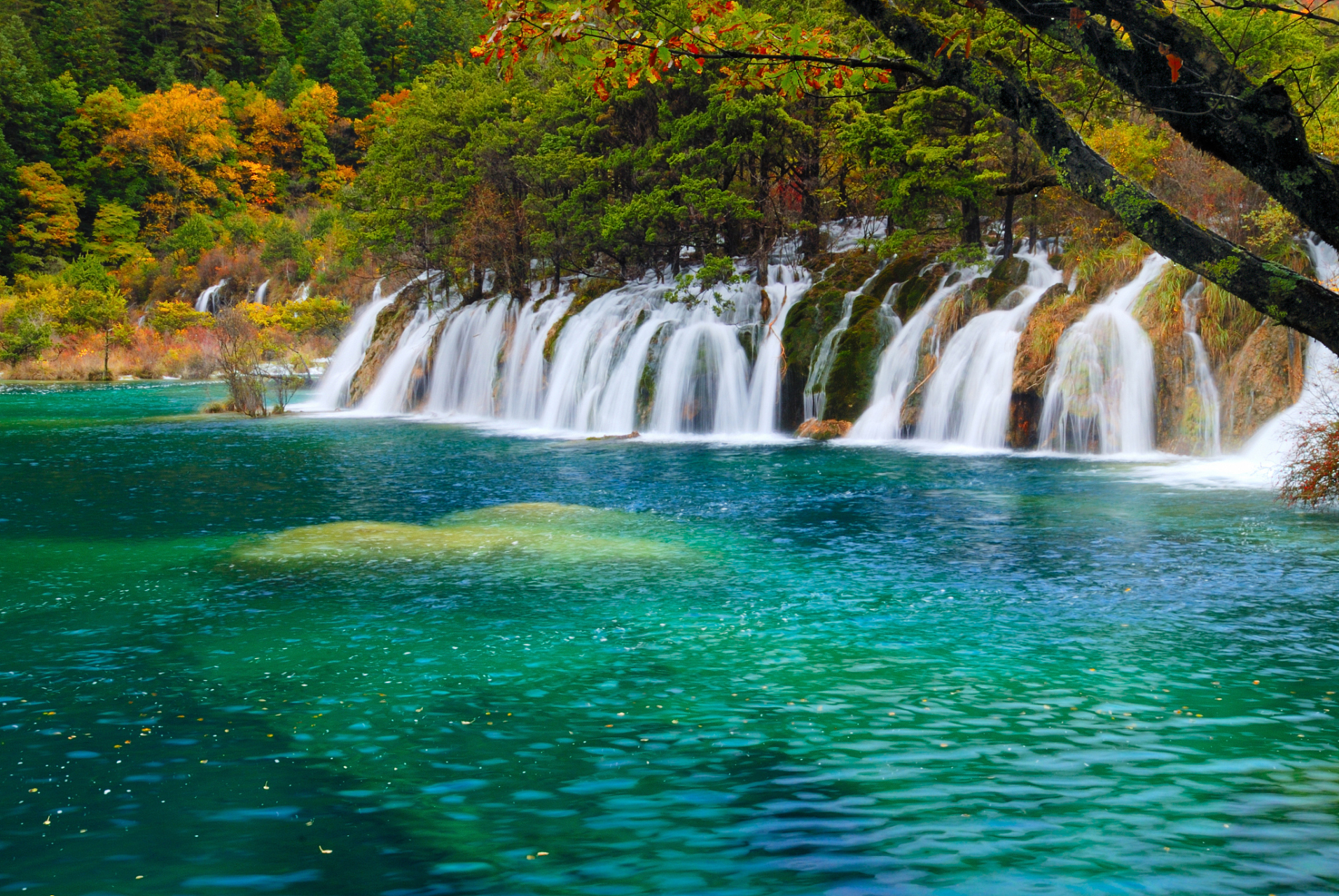 九寨沟,这个名字总让人联想到碧水清流,叠瀑飞流,彩林秀色的人间仙境.