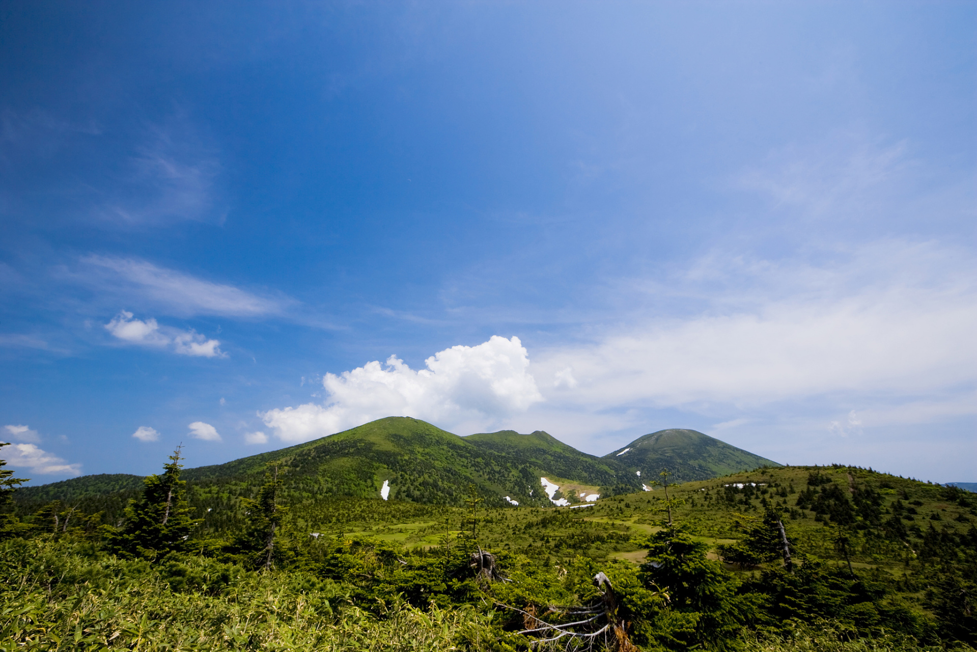 龙泉天平山图片