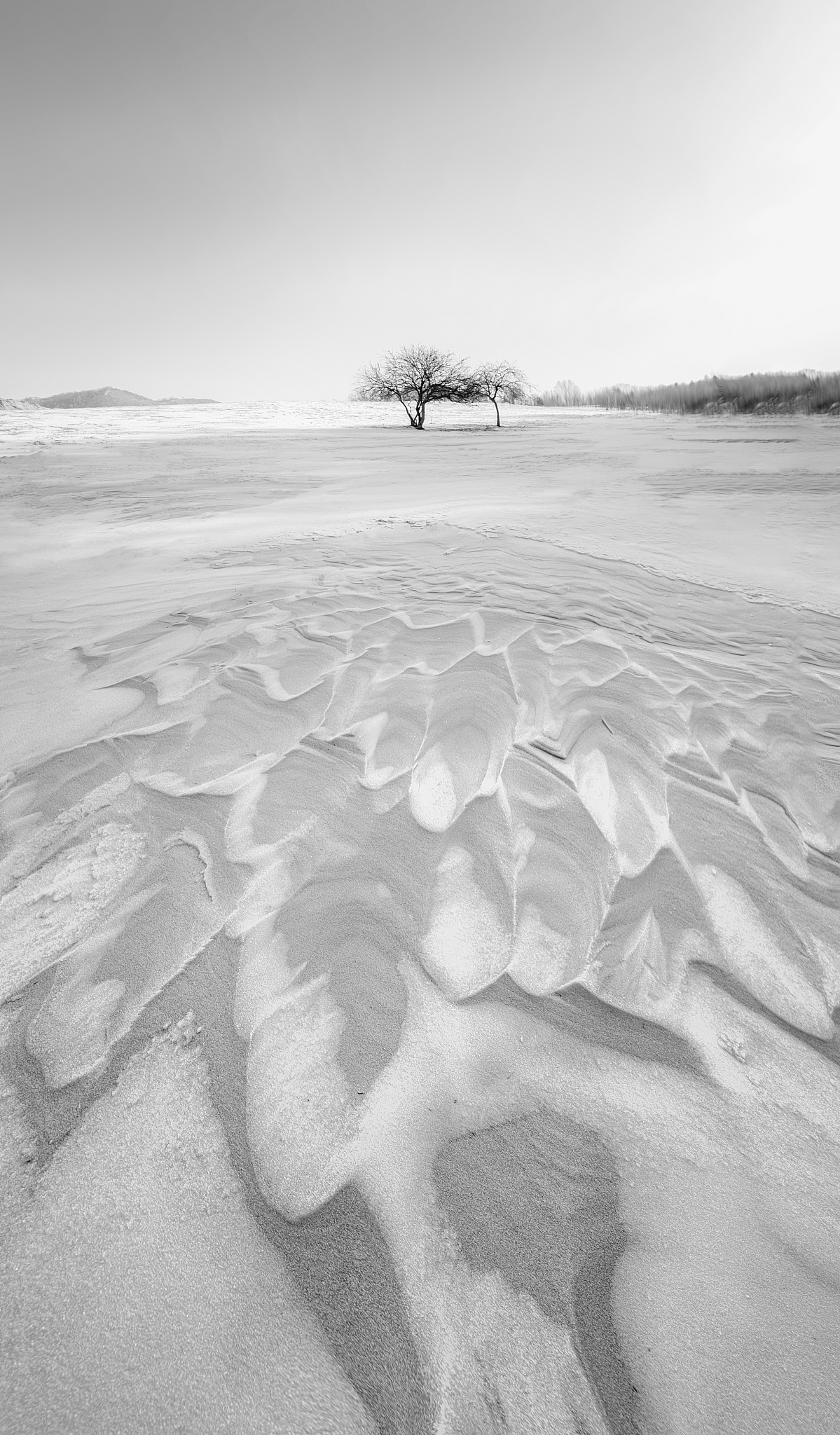 林知夏江逾白(完整版&小说大结局)林知夏江逾白全文阅读笔趣阁8