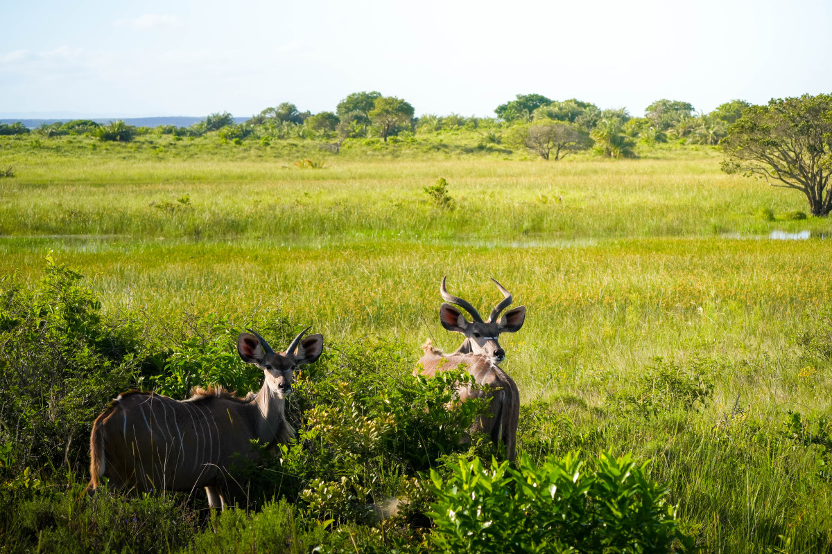喀拉峻草原(新疆) 4.巴音布鲁克草原(新疆) 5.若尔盖草原(四川) 6.