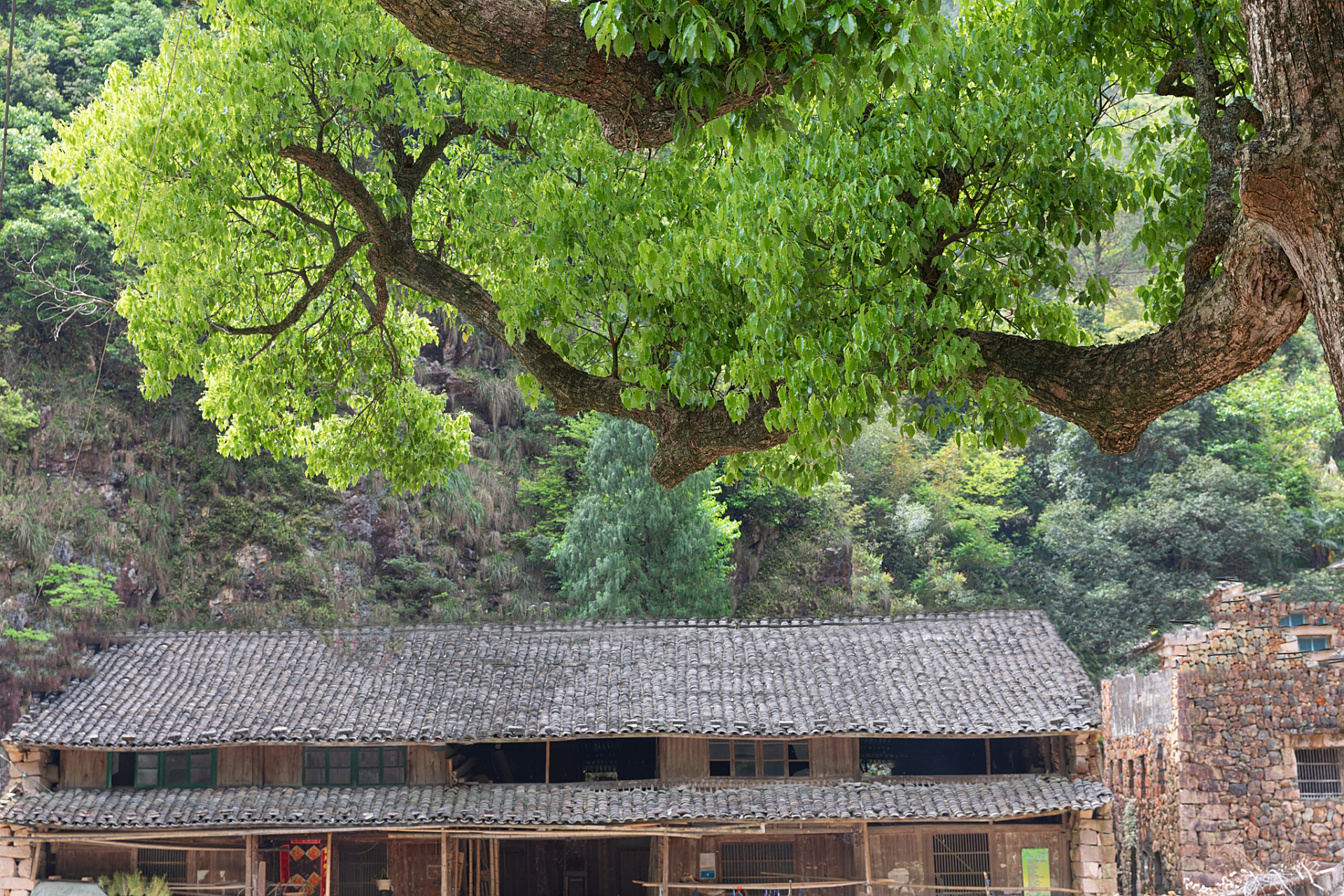 日出的美景在花竹村展现得尤为宏伟壮丽,初升的朝阳逐渐洒满整片湖面
