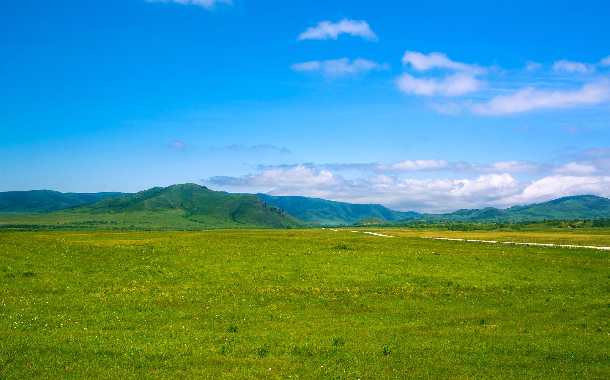 说到江西的旅行必去之地,怎能不提那风景如画的鄱阳湖大草原景区呢?