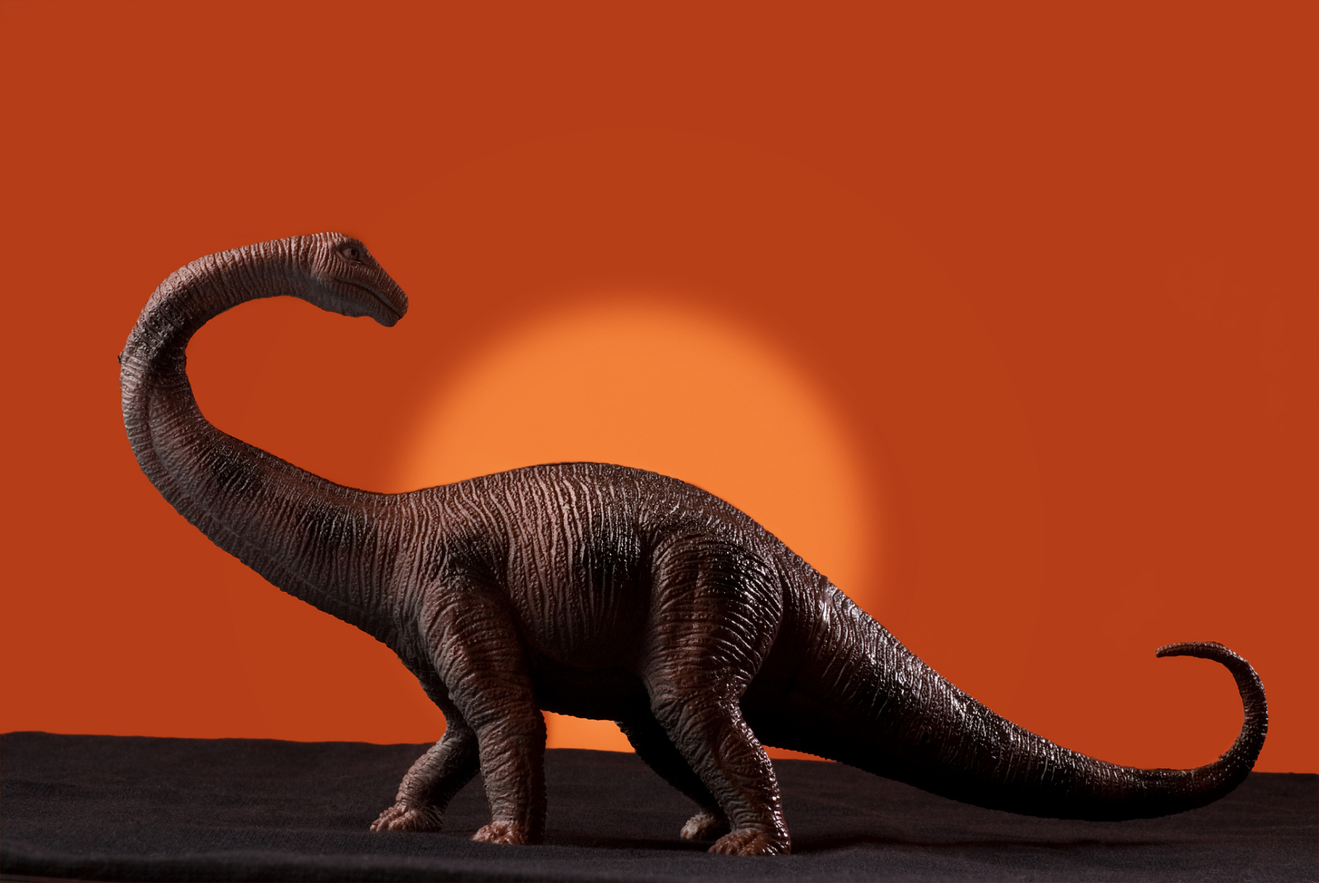 0491恐龙灭绝的真正原因  据科学家研究,恐龙灭绝的真正原因是