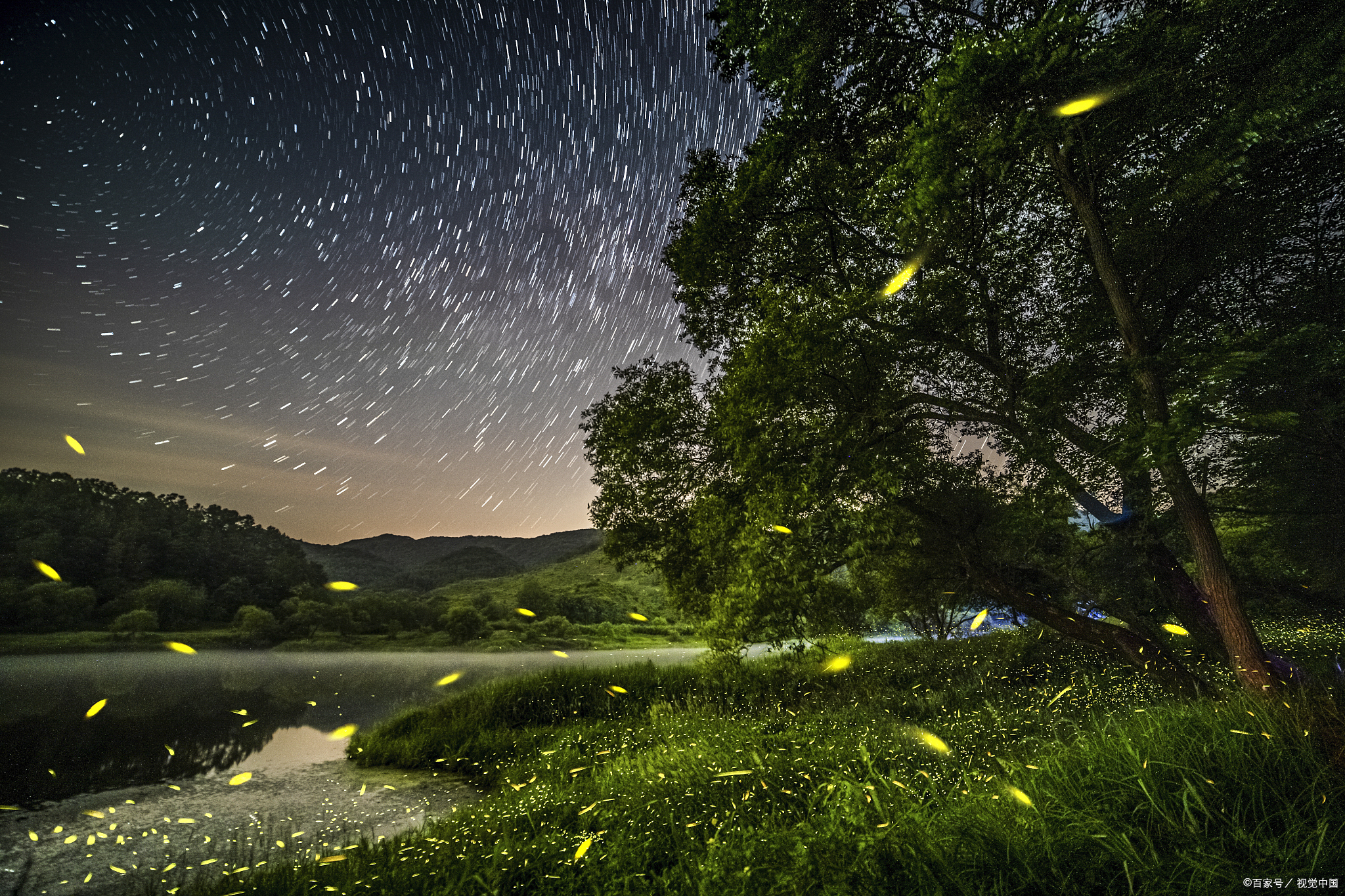 夏天的景色 夜晚图片