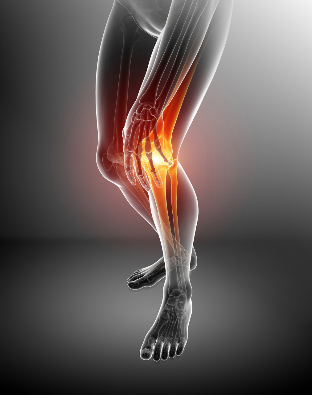 膝关节是人体承受负荷最大的关节之一,因此日常保健对于膝关节的健康