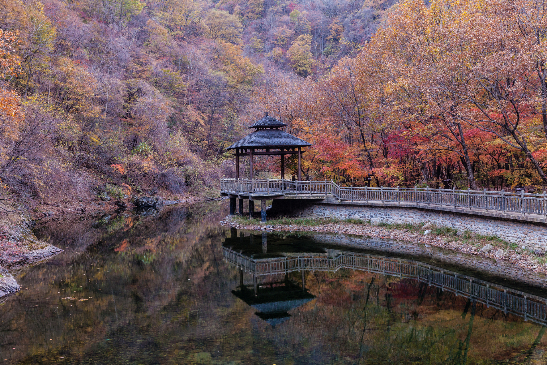 蛟河红叶谷风景图片图片