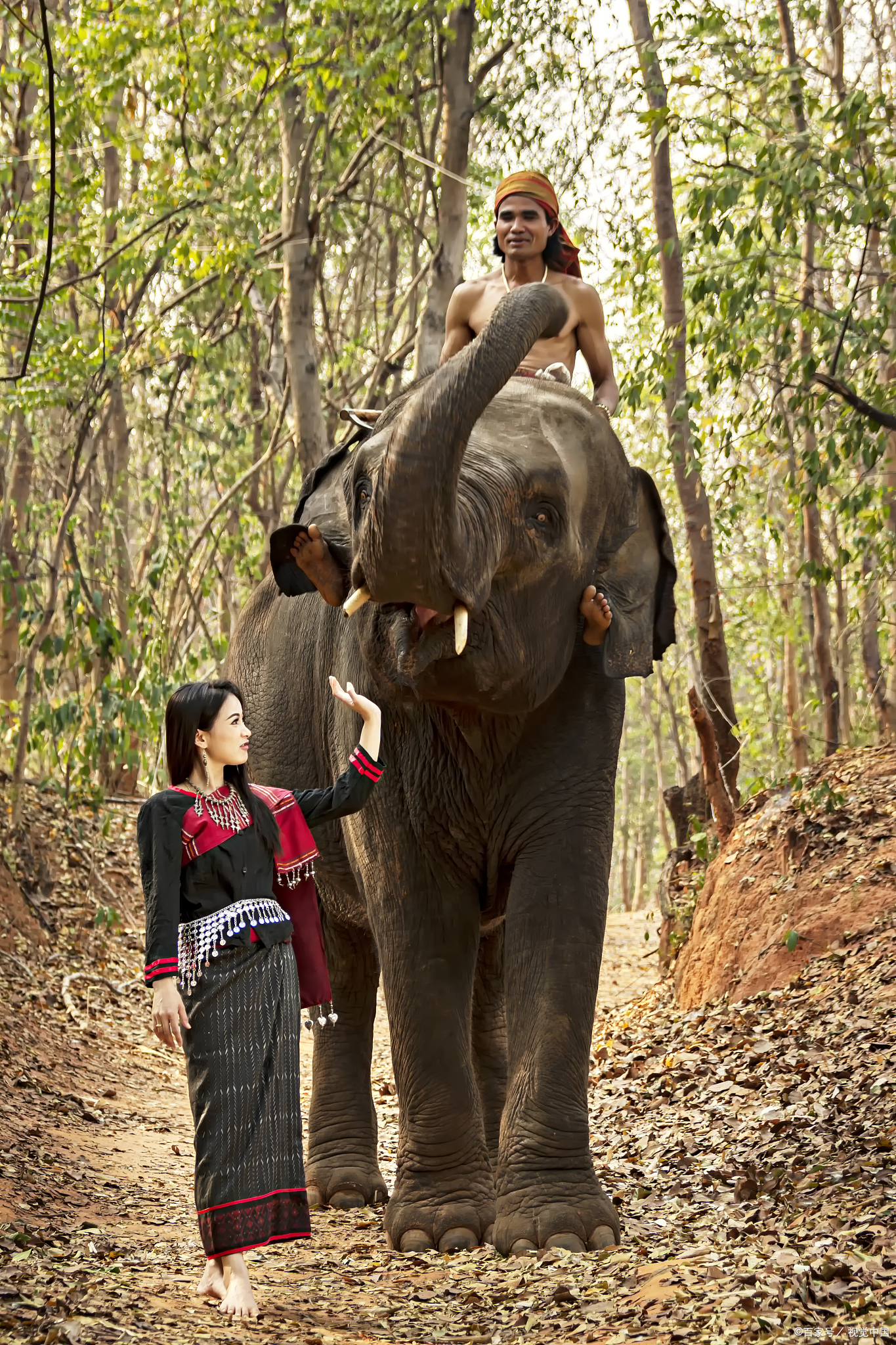 上联二:人象像. 上联三:人象成像, 上联四:人象像象人象, 下联:一一?