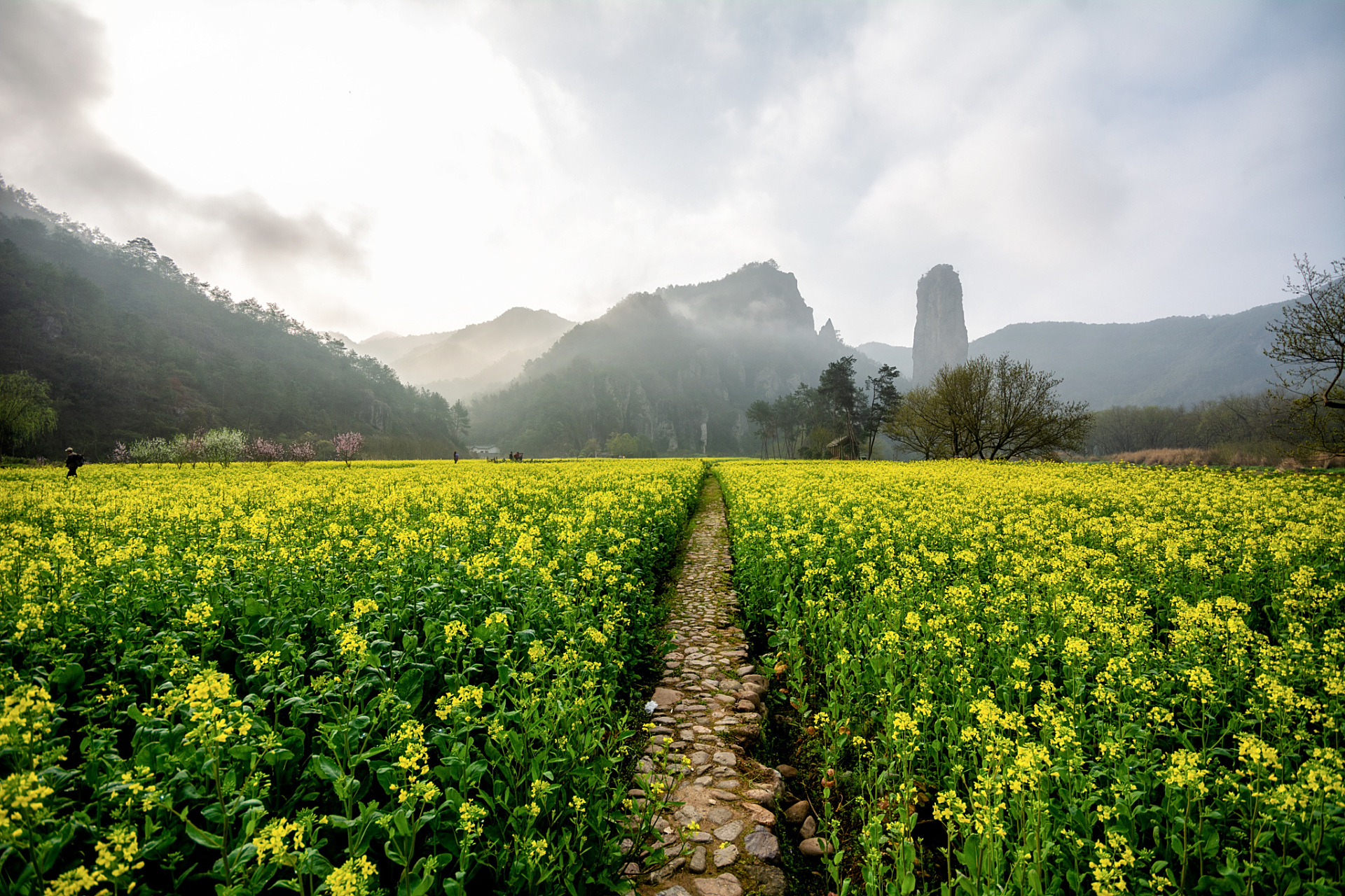 仙都景区坐落在浙江省丽水市缙云县,以其秀美的风光吸引了众多影视剧