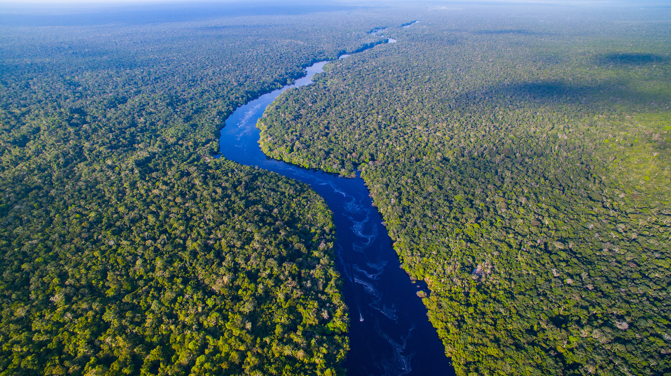 亚马逊平原图片