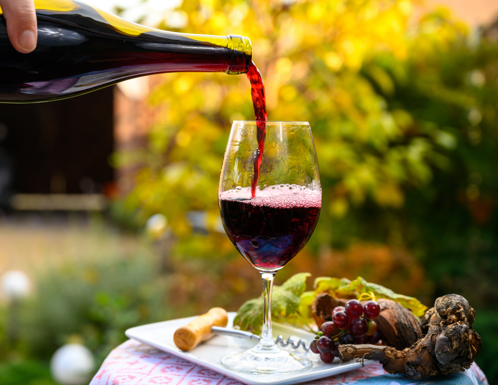 红葡萄酒一直以来都被认为对健康有益,尤其是心血管系统