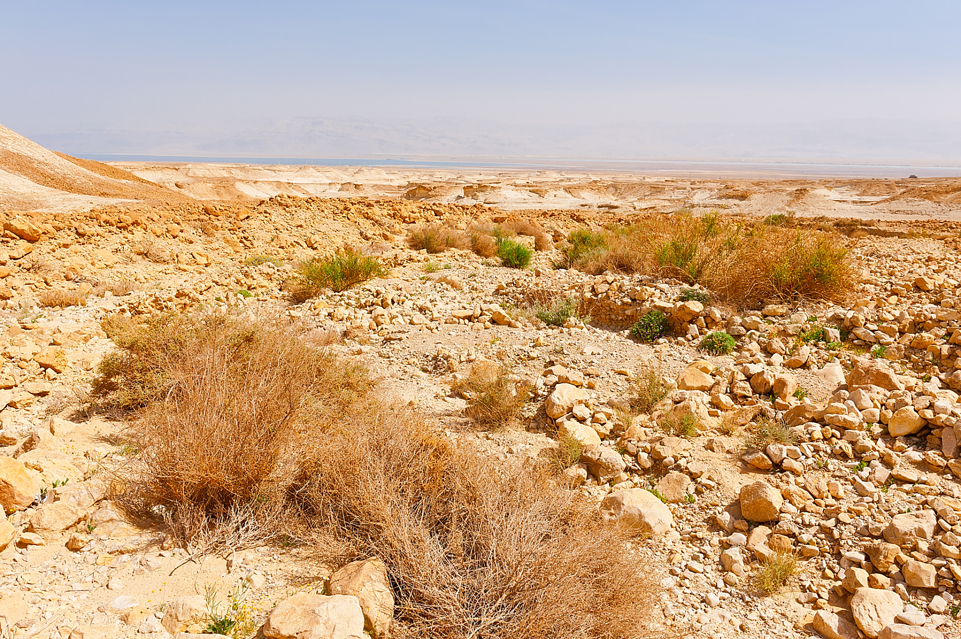 新疆戈壁荒滩,是大自然的艺术品,是沙漠的瑰宝.