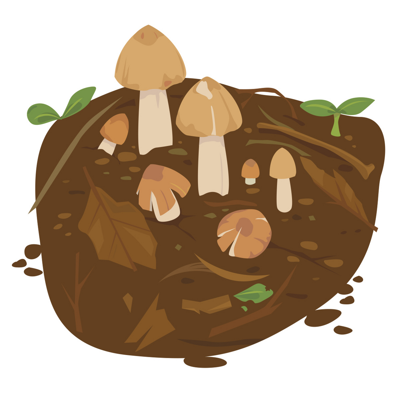 白蚁是一种具有独特生长习性的社会性昆虫,扮演生态系统中的分解者