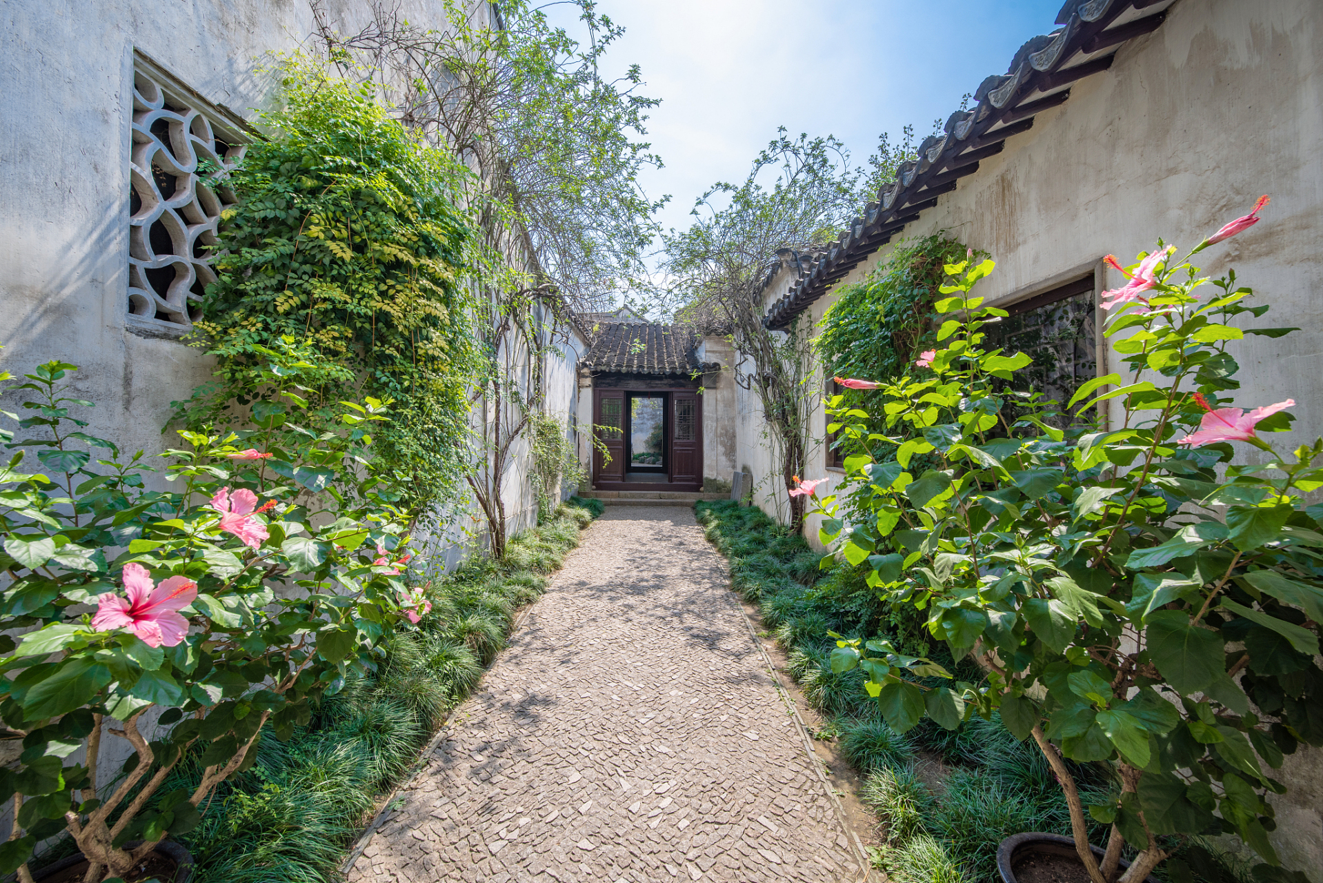 小院静悄悄 闲庭信步,一池荷香扑鼻  水波荡漾,浅草微微随风 红枫绿柳