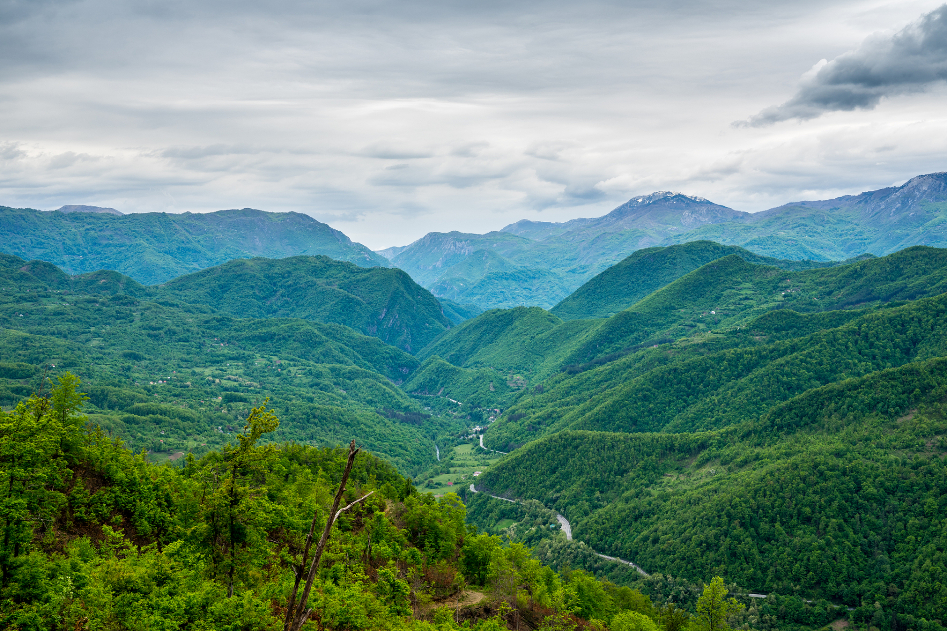 秦岭,作为中国著名的山脉之一,被誉为中华的脊梁,拥有着壮美的自然