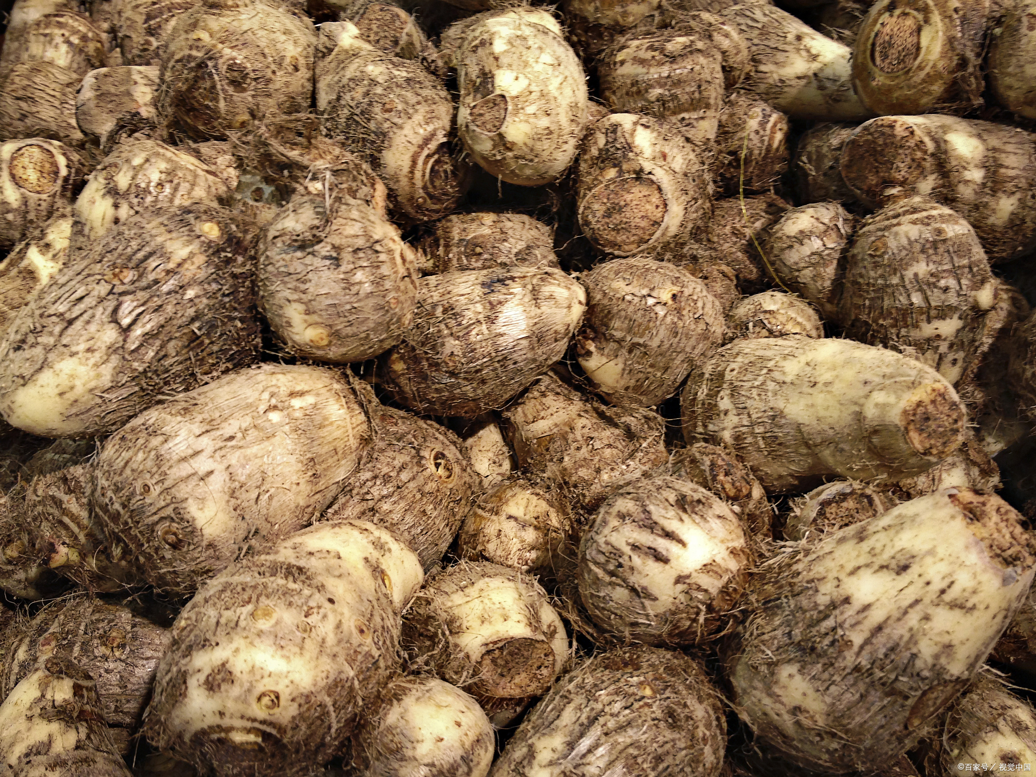 我用芋头治耳鸣的事在医院传开了,给患者治好耳鸣后,患者又给我们科室