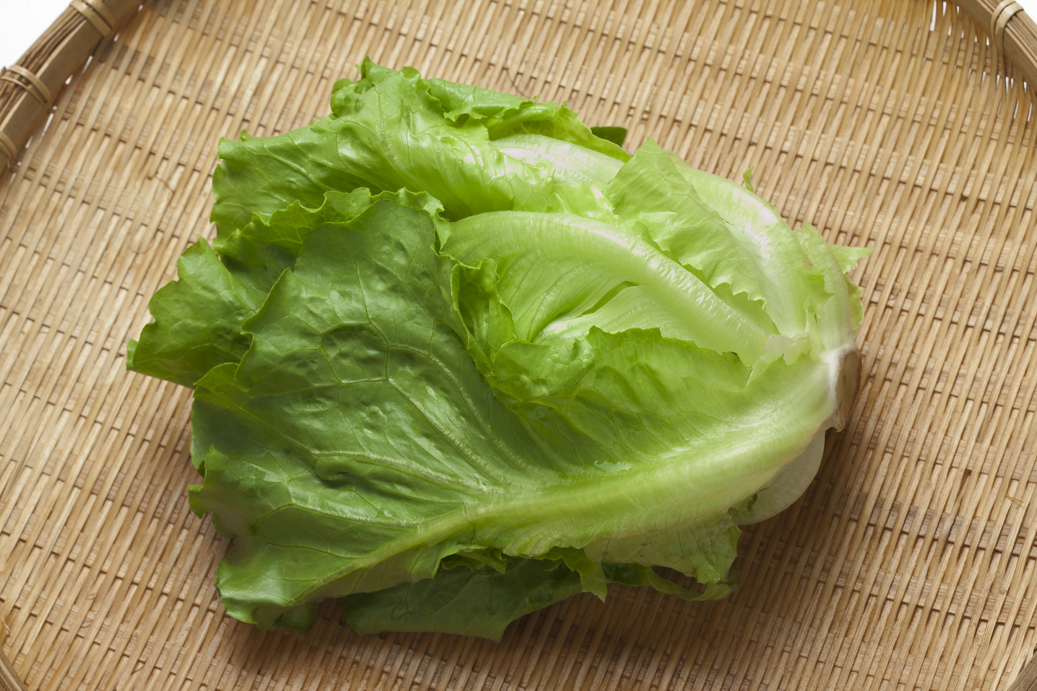 蚝油生菜烹饪要点:选新鲜嫩绿生菜,洗净后高温快炒,简单调料提味,避免