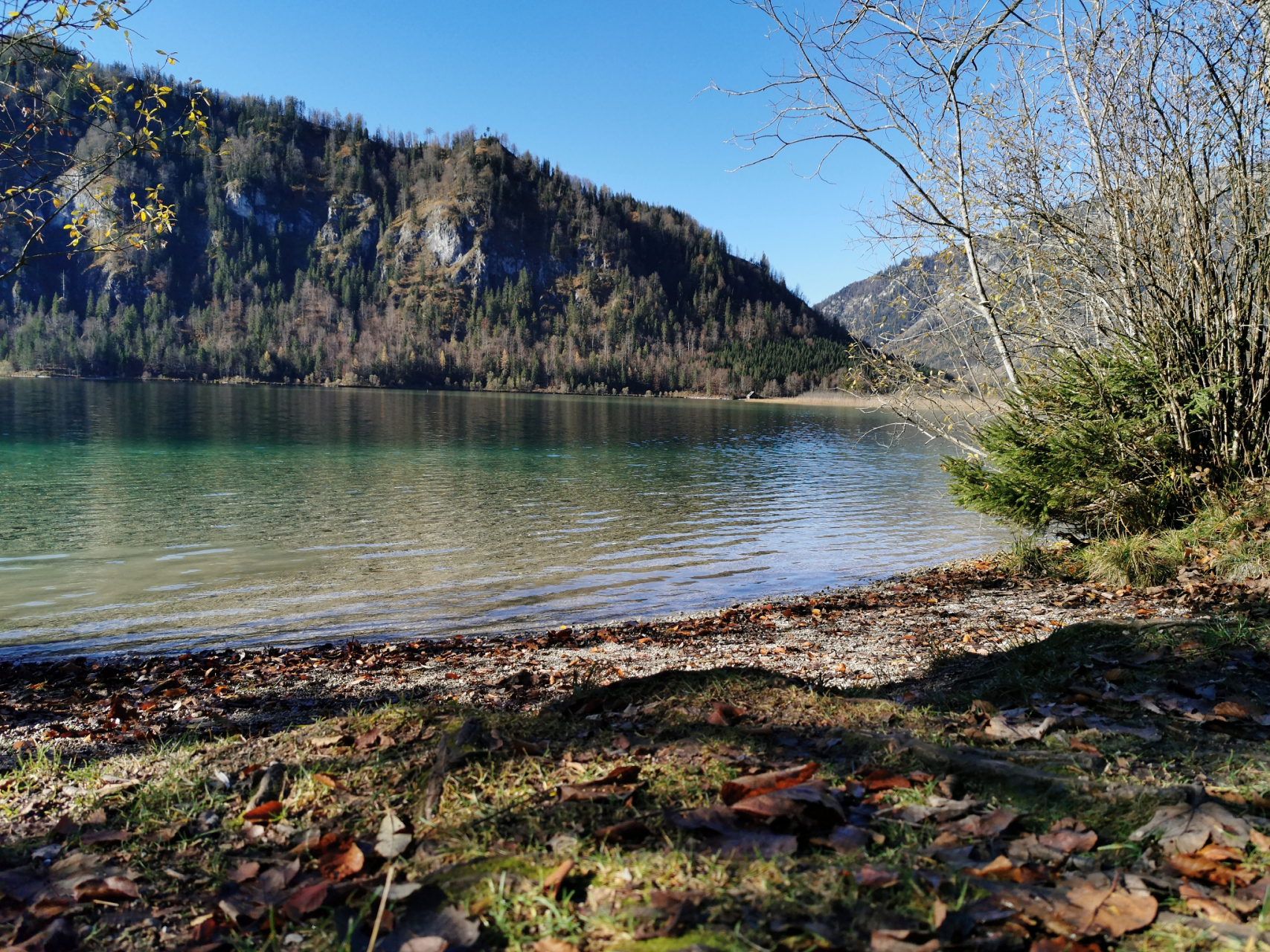 奔赴春天的旅行# 在春日的温暖阳光下,林芝尼洋河畔,徒步旅行者踏上