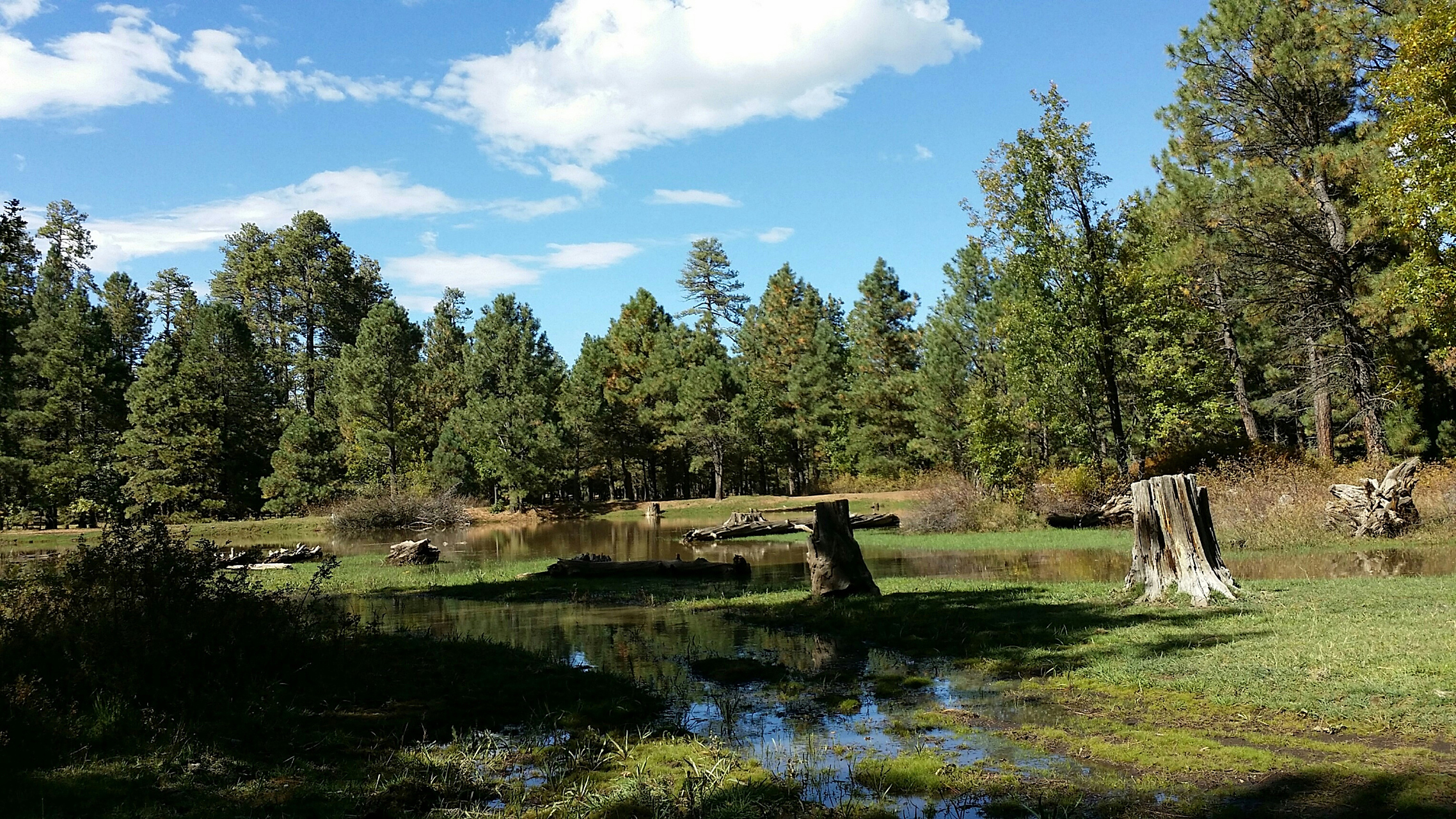 阿里河国家森林公园,那就像一个神秘的绿色宝藏,深藏在大兴安岭的腹地