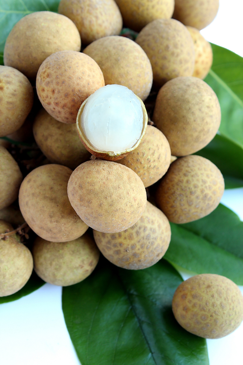 以下是桂圆的主要功效和作用: