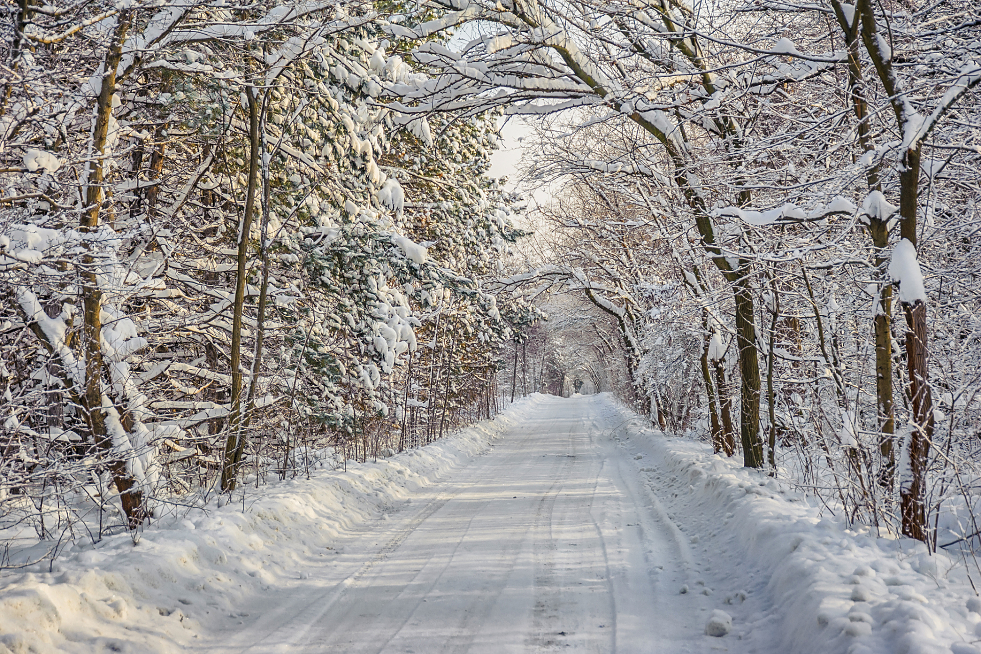 冬季的公园小径,雪花飘落在湖面上,一切都显得那么宁静和美丽.