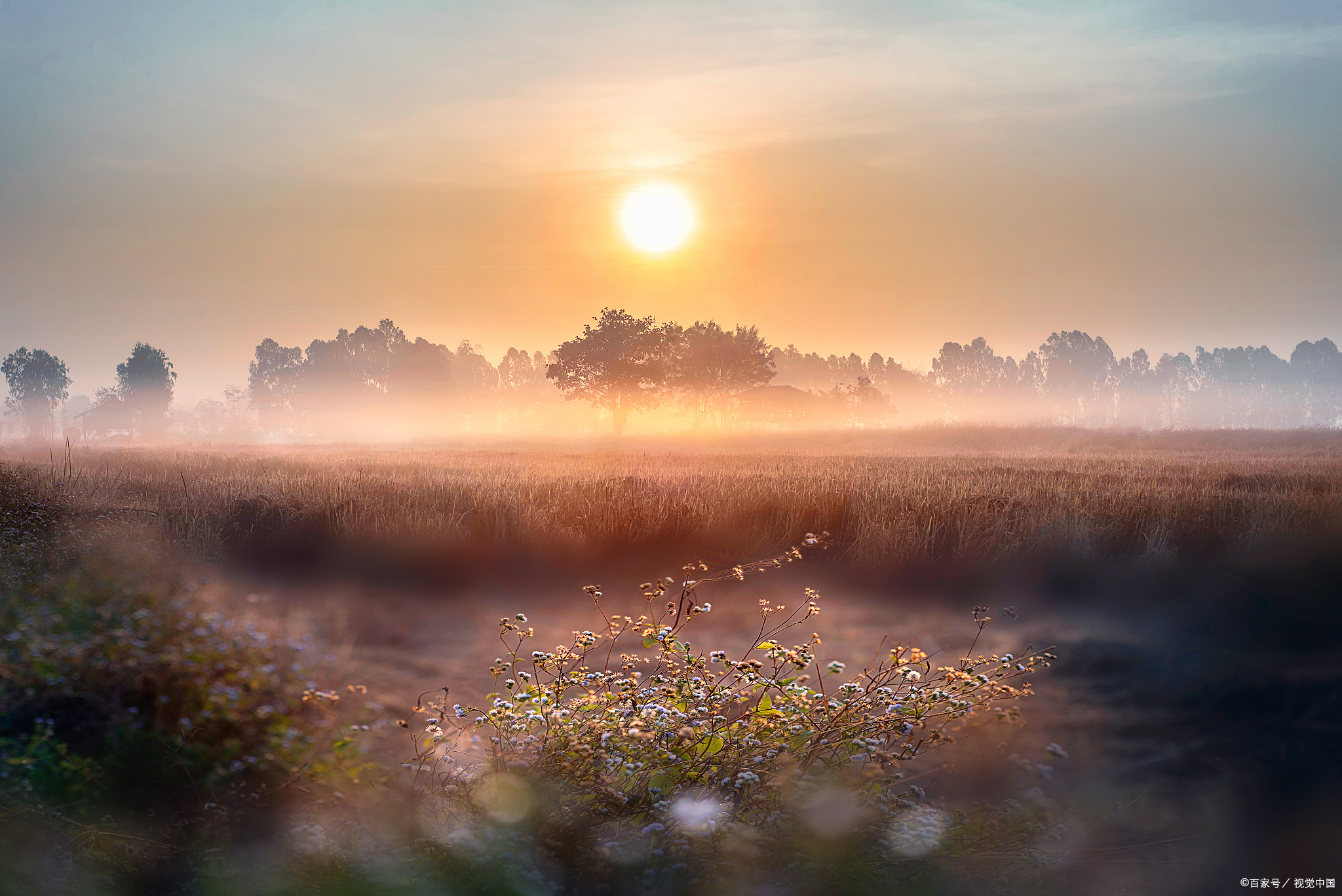 晨曦治愈之美:用简短美句治愈心灵的角落!