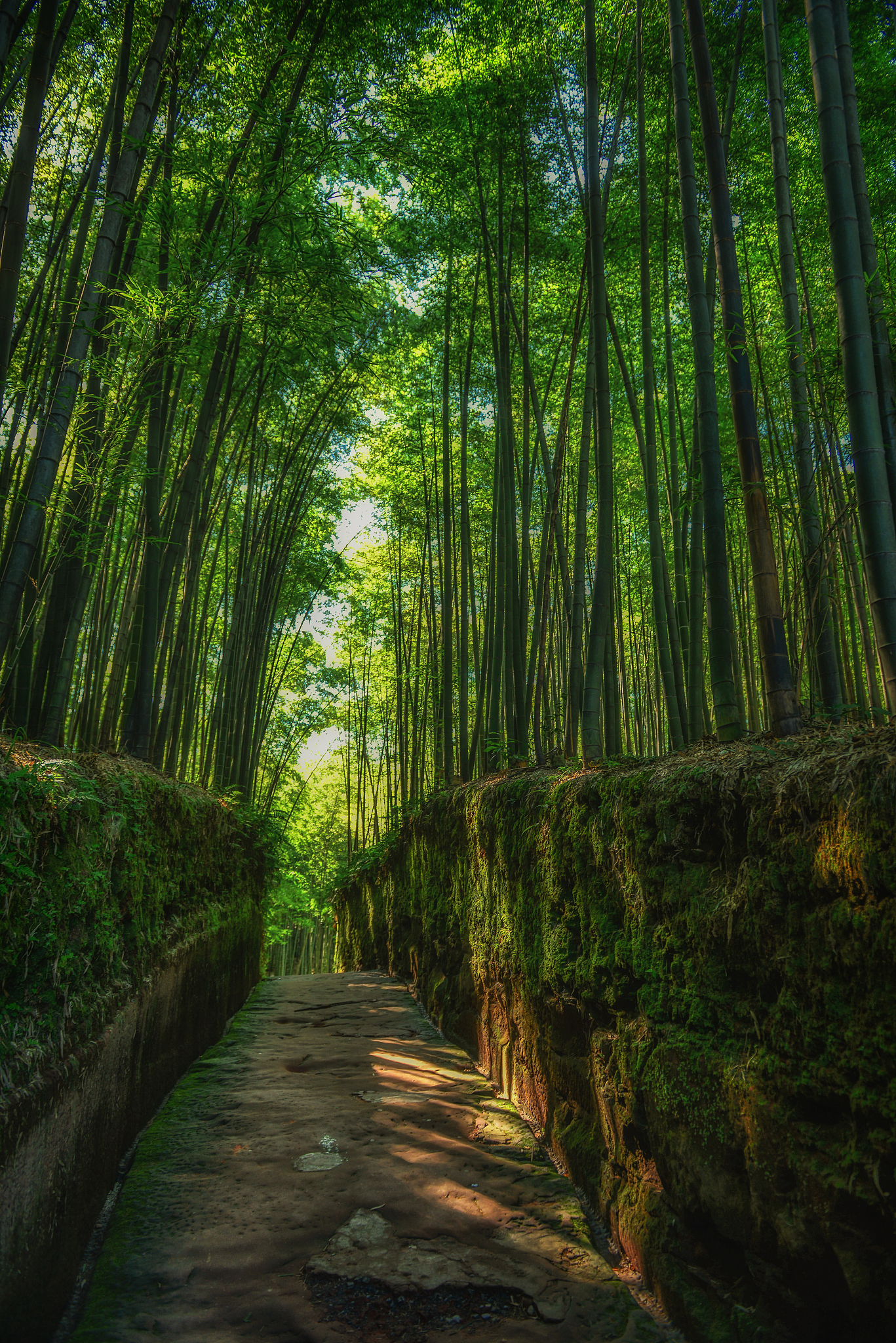 永川附近的旅游景点图片