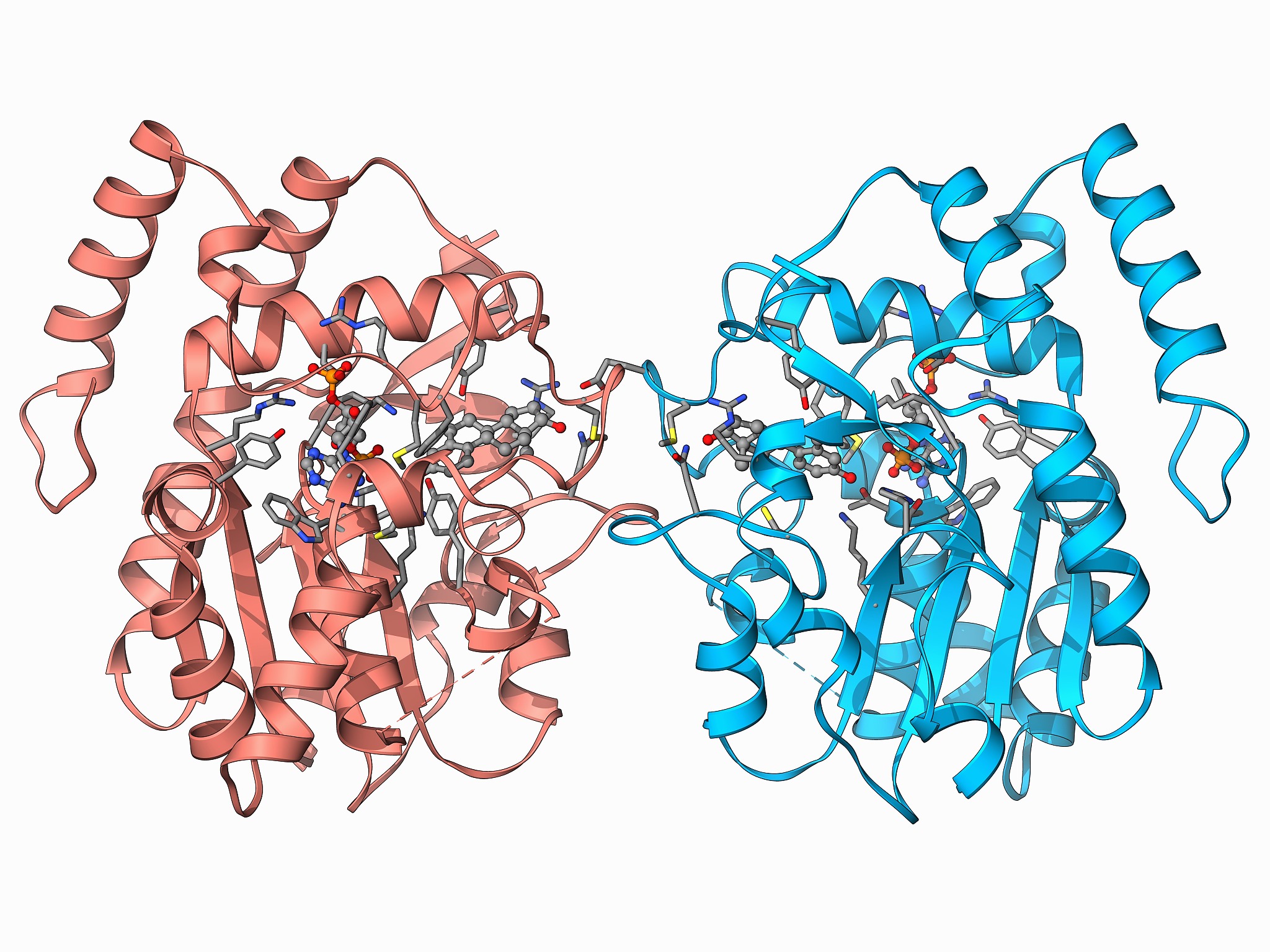 新一代纤维素乙醇酶制剂两年内问世
