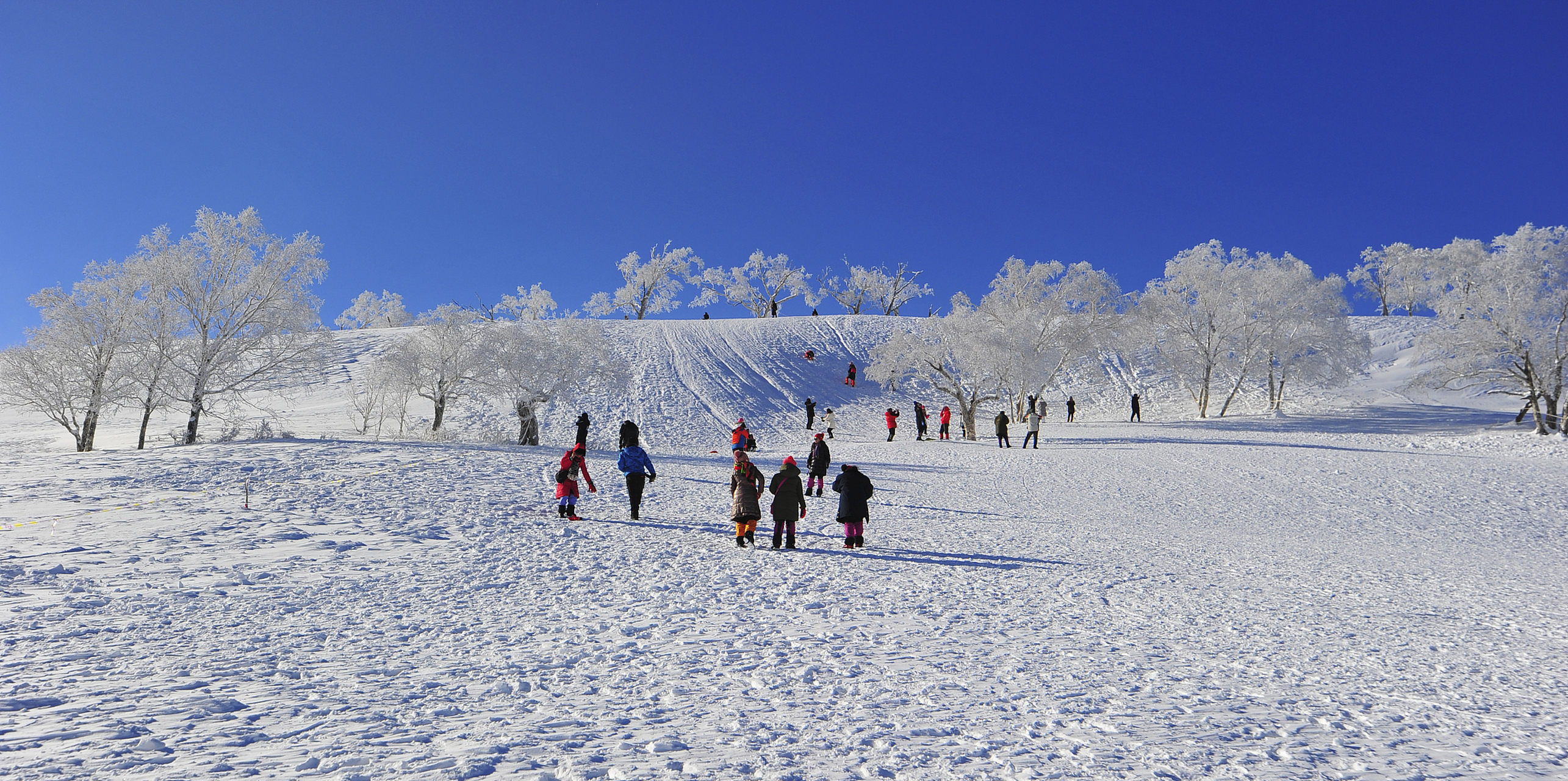 辽宁后天全省降雪,南方想要去参加冬季冰雪旅游的小伙伴有福了,可以