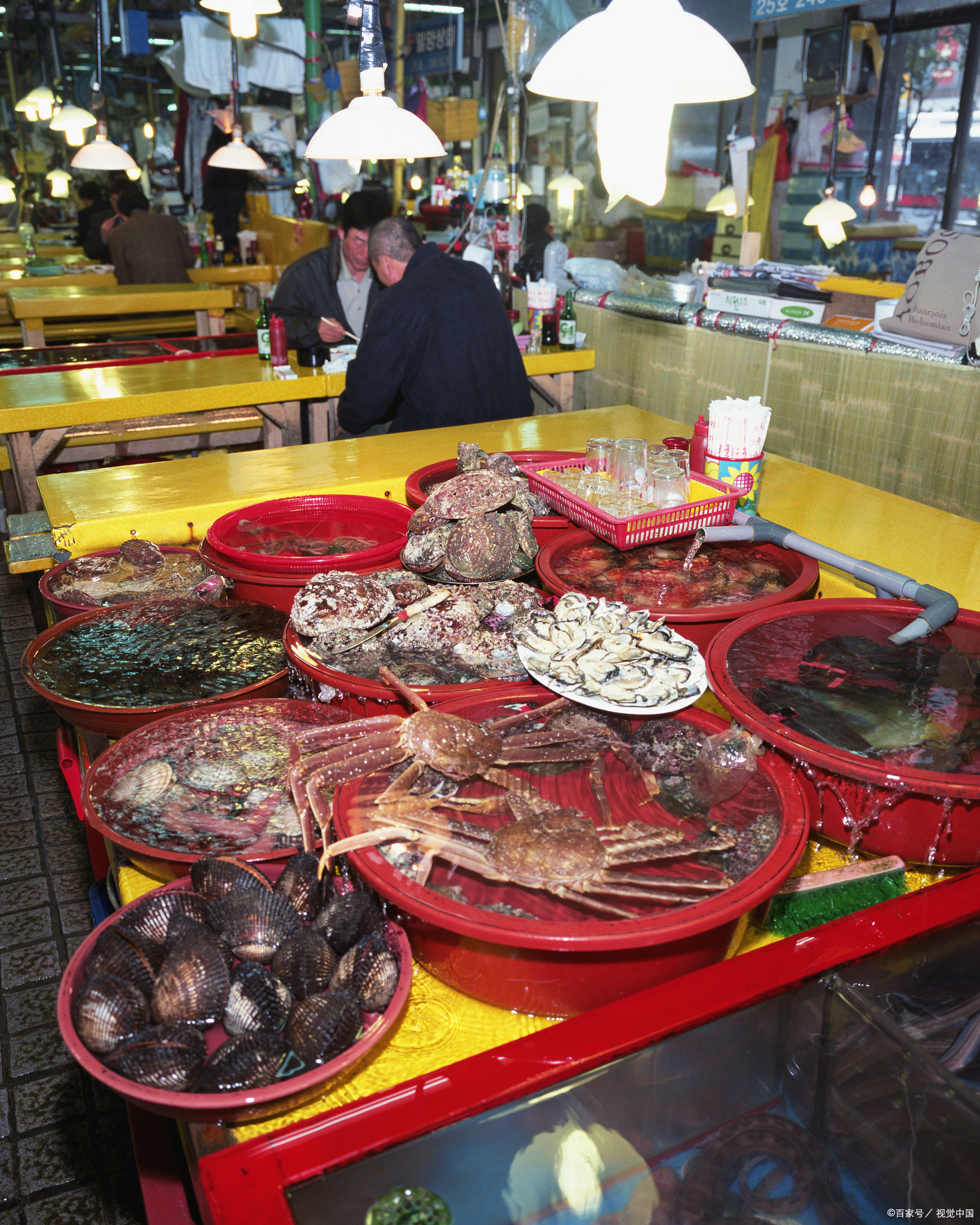 秦皇岛海鲜风情:码头与市场攻略